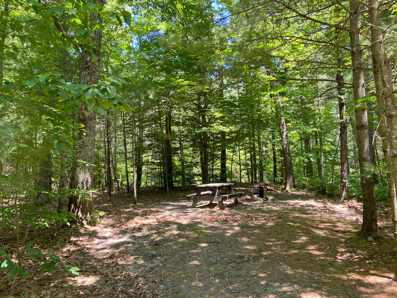 You’ll be amazed at how peaceful life is when you turn off your device while camping.