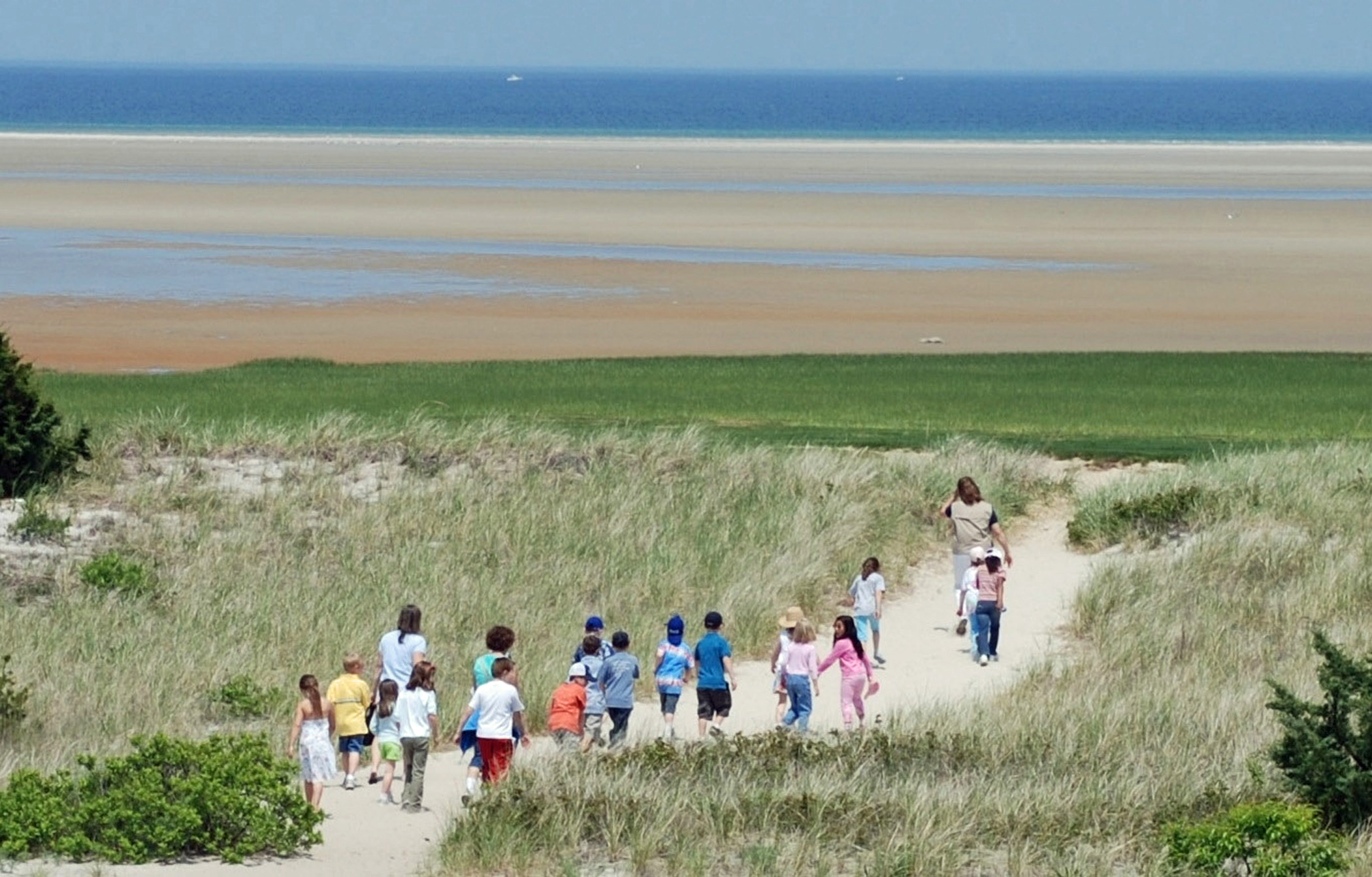 Explore the Cape’s glorious outdoors at the Cape Cod Natural History Museum in Brewster.
