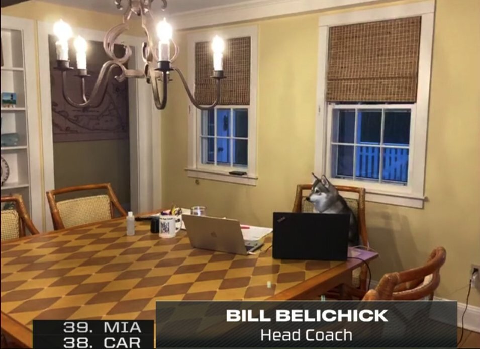 Watch Bill Belichick’s dog, Nike, is back in the draft room The