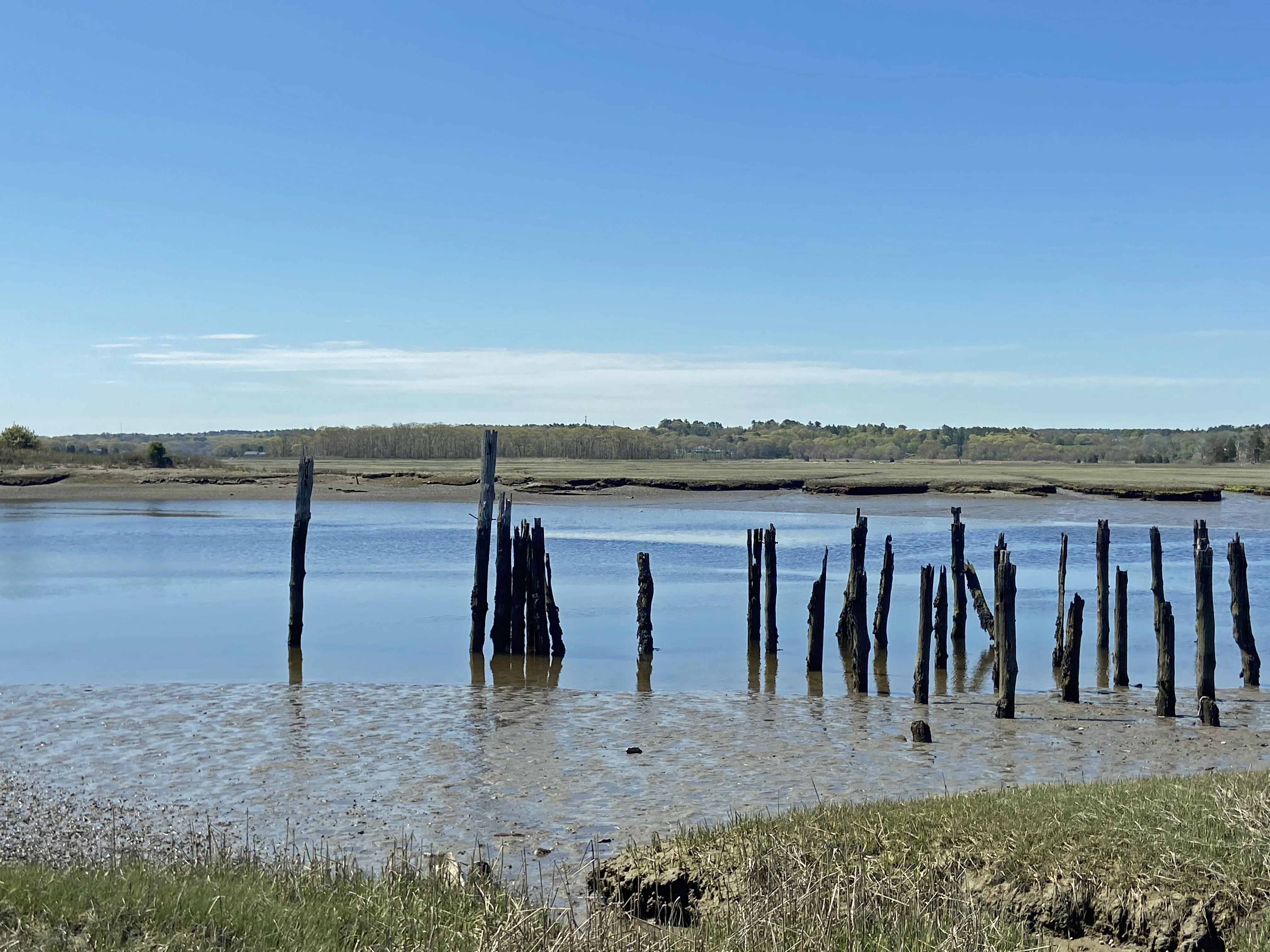Driftway Conservation Park offers a boardwalk and a series of short trails with river views.