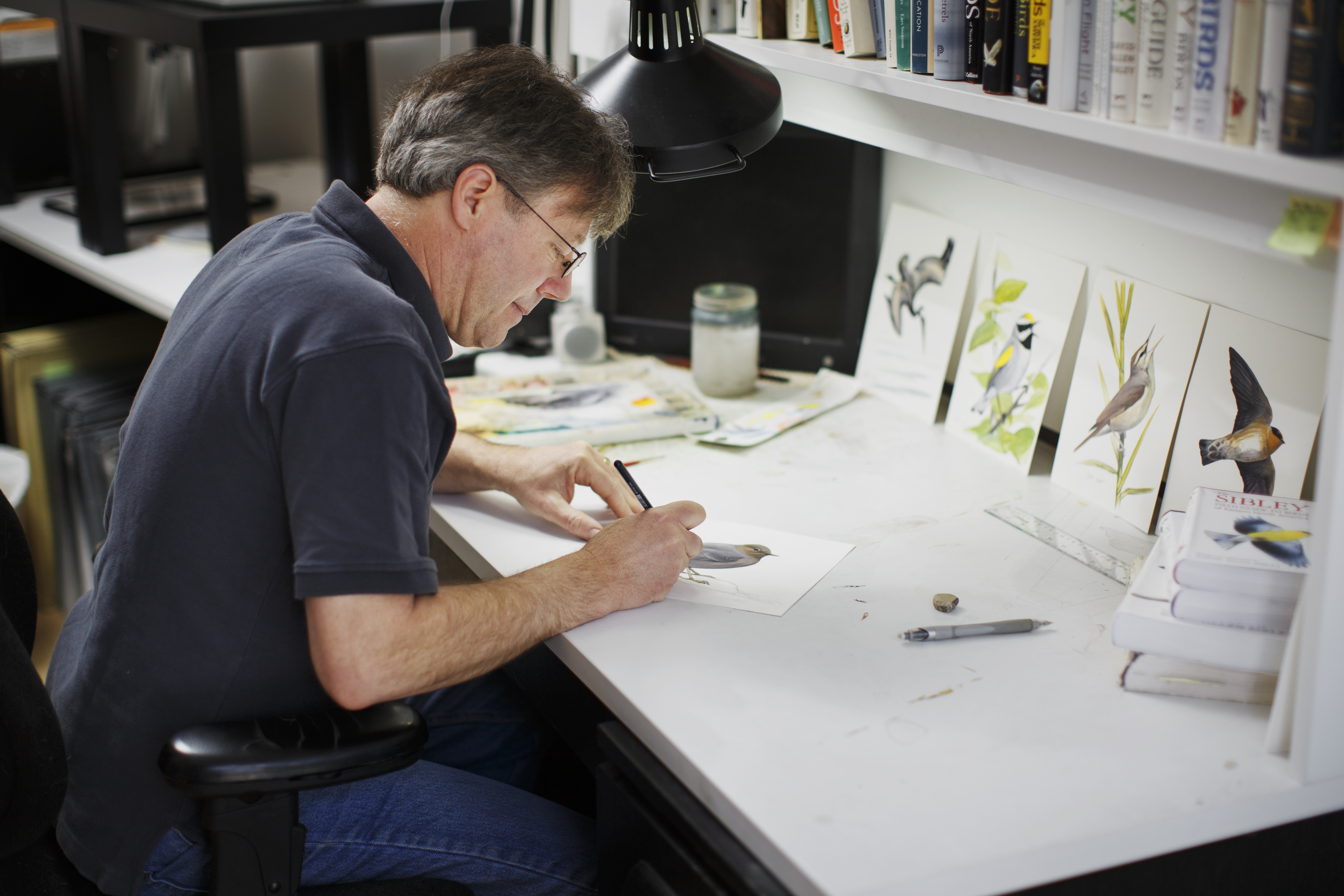 Sibley at his drafting table.