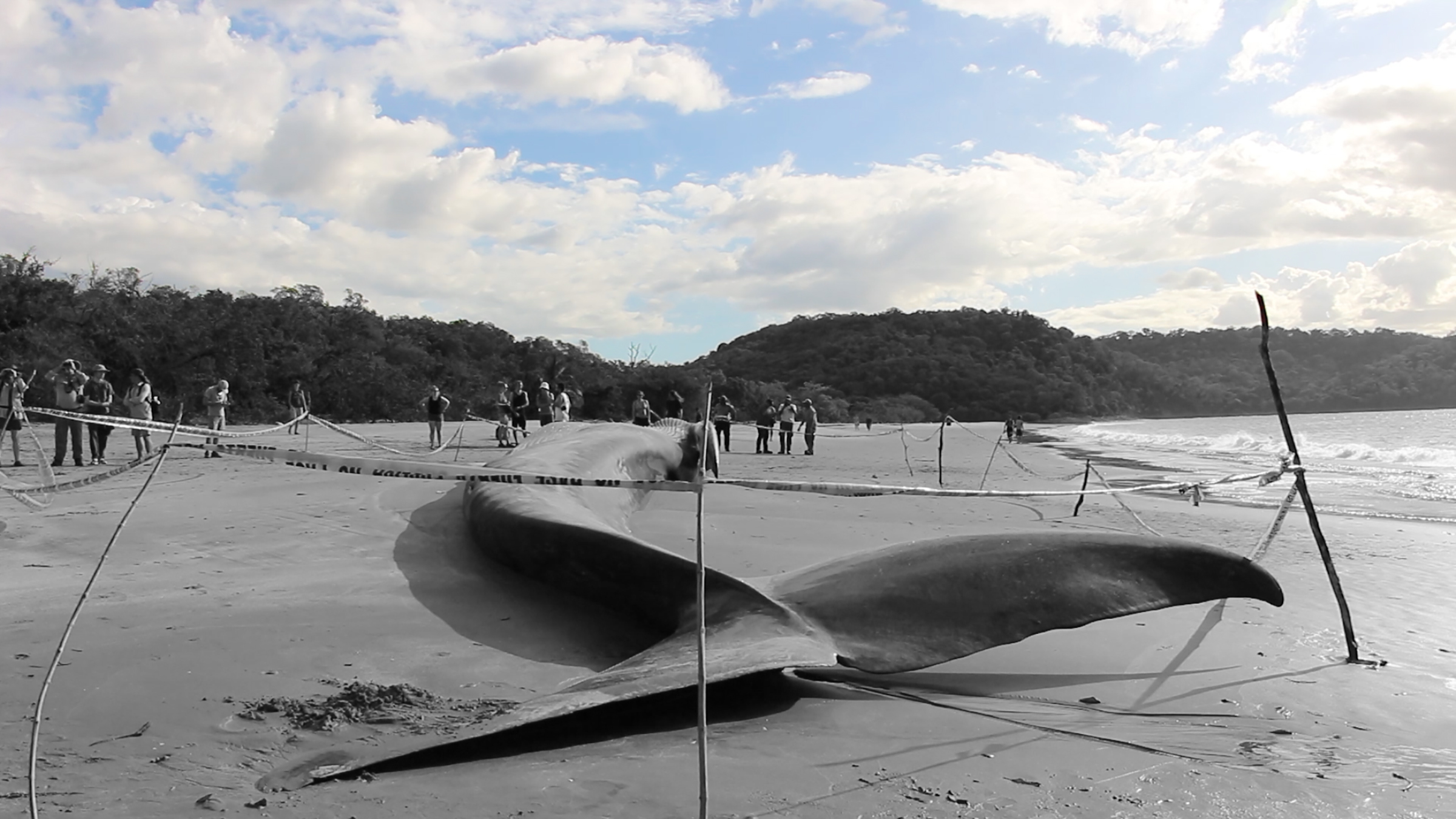 A still from Allison Maria Rodriguez's "Once in a Lifetime."