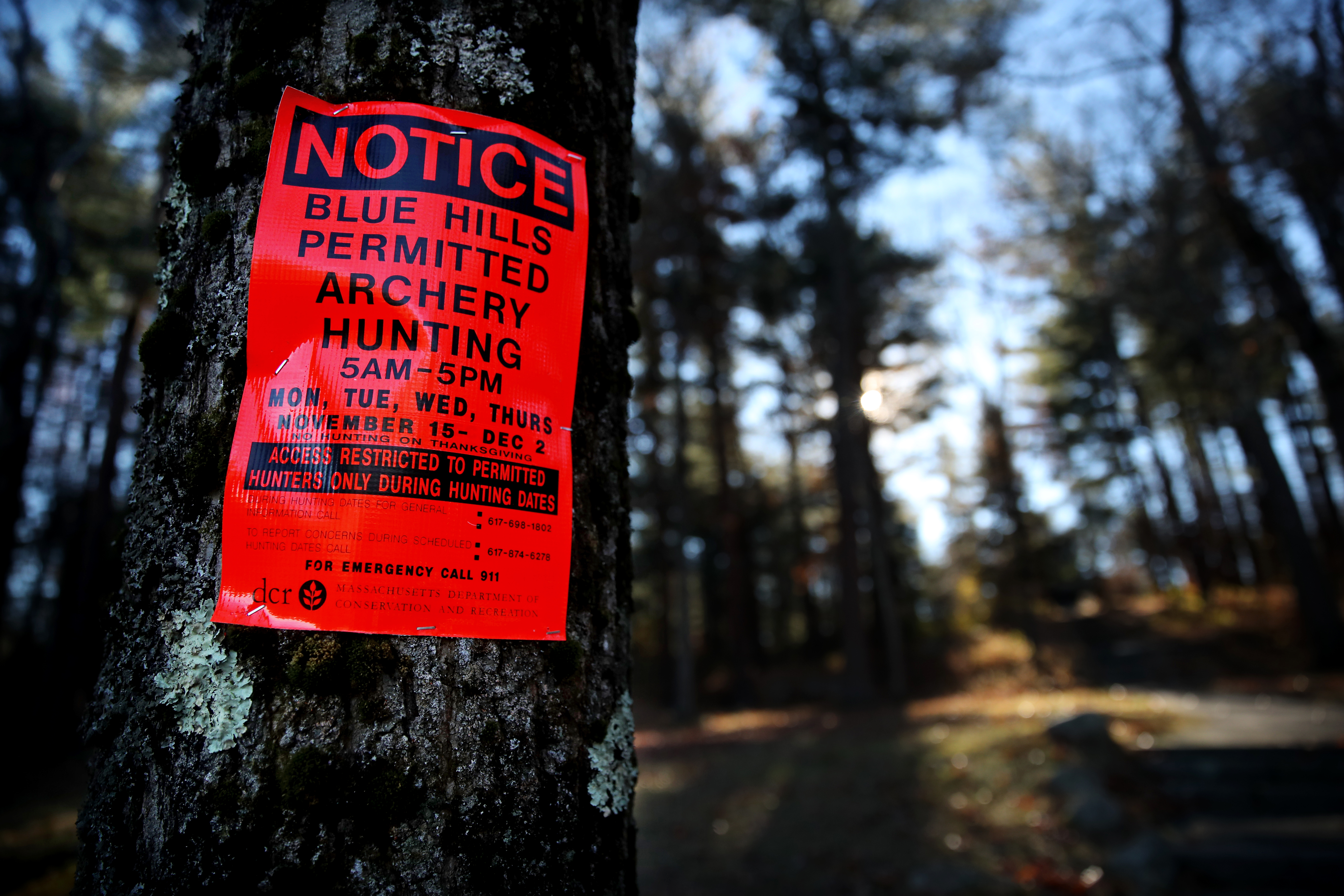 A deer hunting sign was posted at Blue Hills State Reservation in Canton.