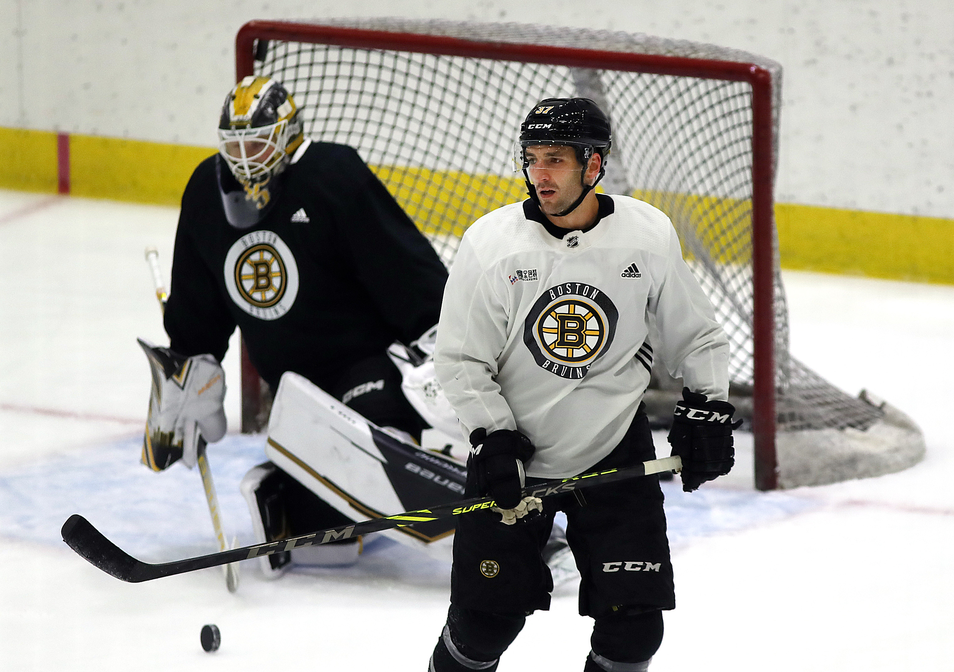 Jakub Lauko and A.J. Greer will be in Bruins' opening-night lineup - The  Boston Globe