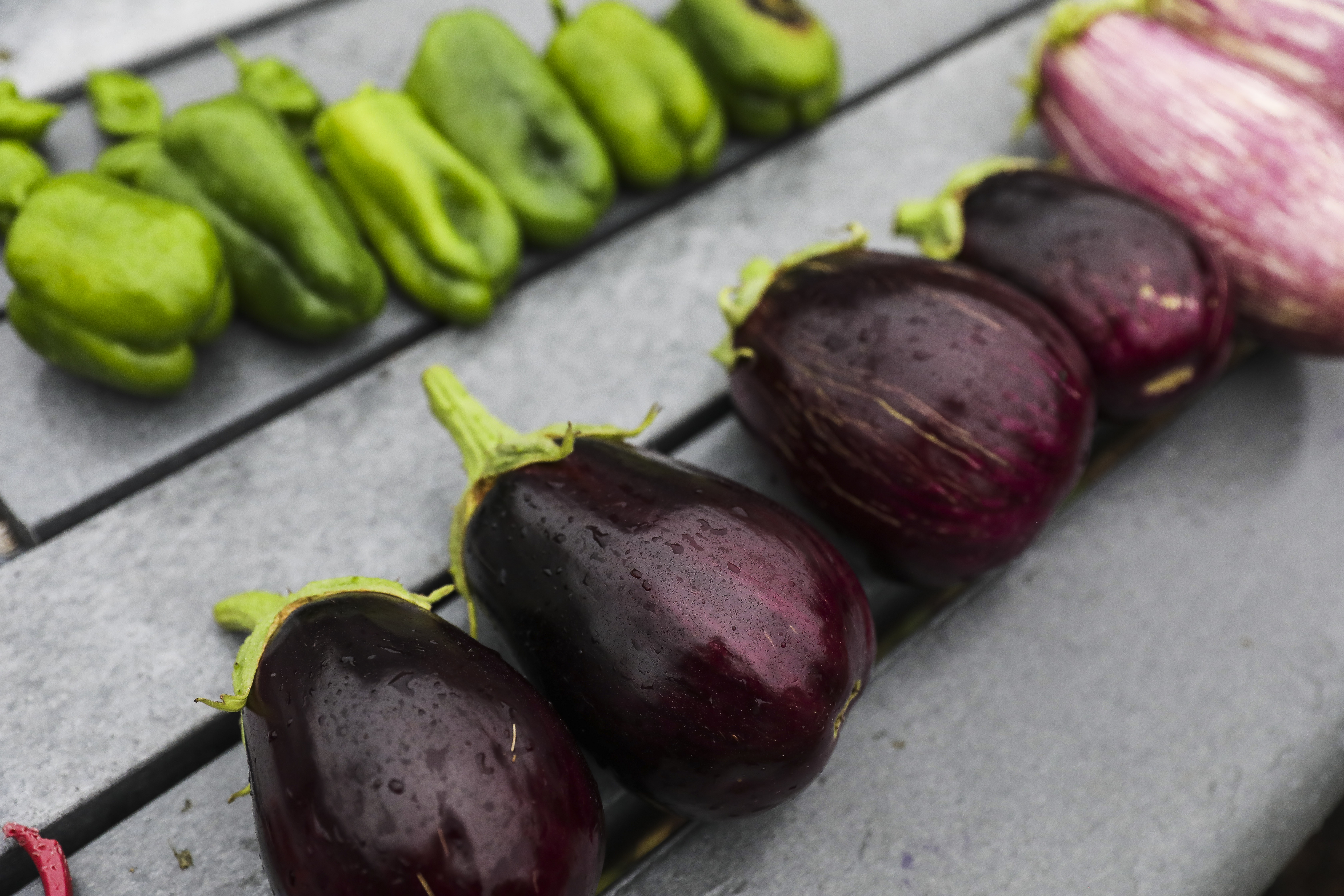 Freshly harvested produce.