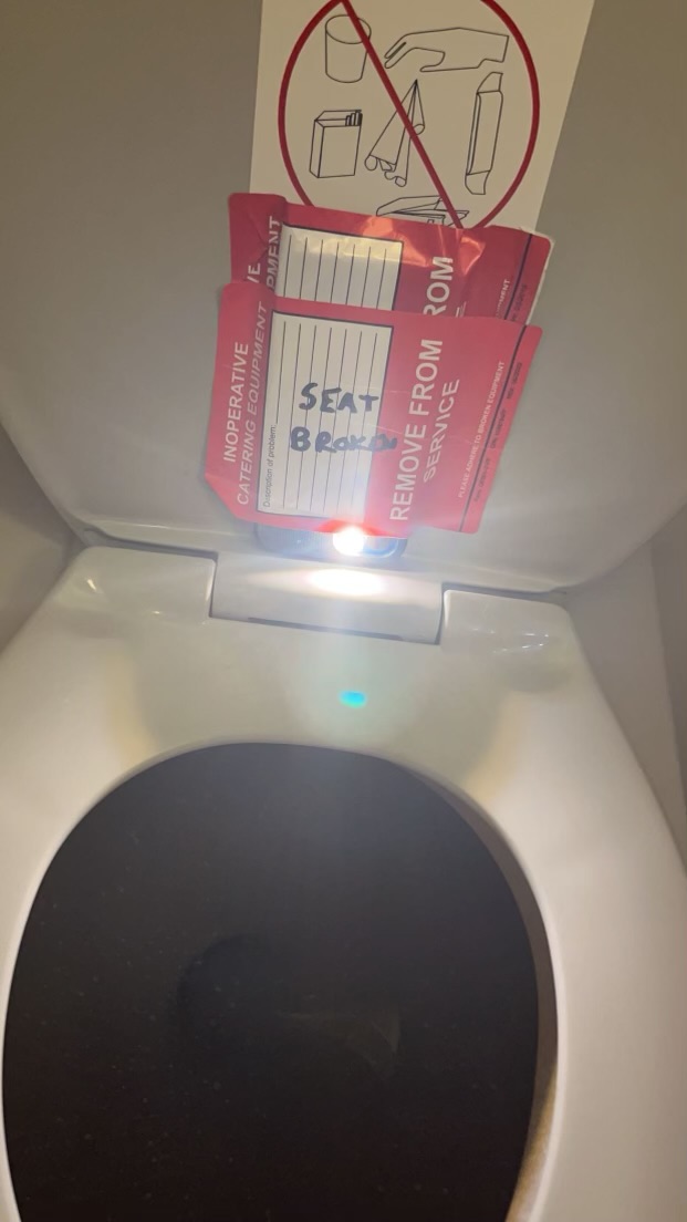 Woman claims she's found 'coolest toilet in Britain' - with mysterious big  red button - Mirror Online