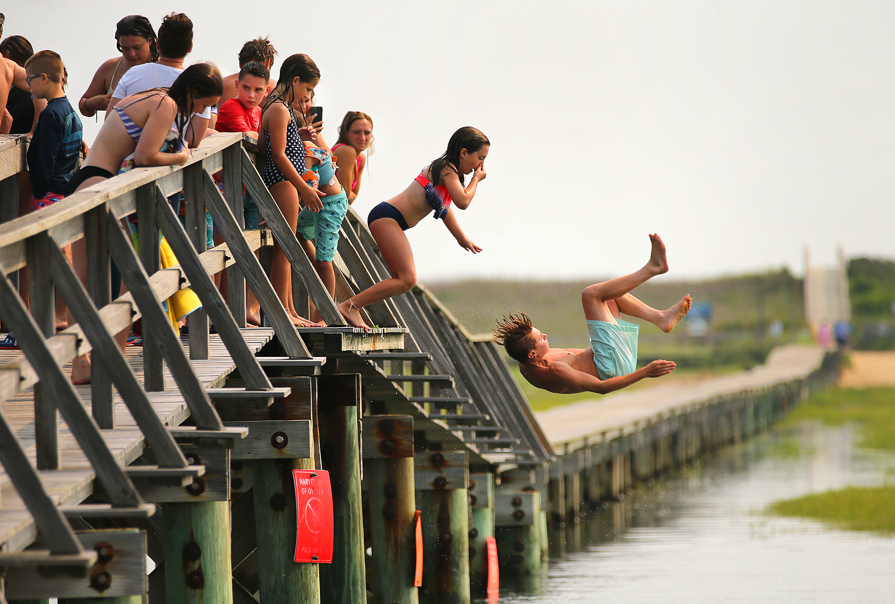 Youngsters jump from the beloved Sandwich boardwalk into the water of the marsh below. A landmark since the 19th century, the boardwalk is now slated to be replaced. Preservationists are fighting to save it.