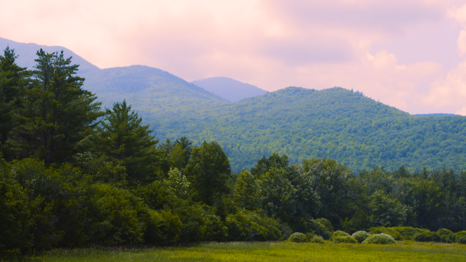 Might Bigfoot live here? From "On the Trail of Bigfoot: The Journey."