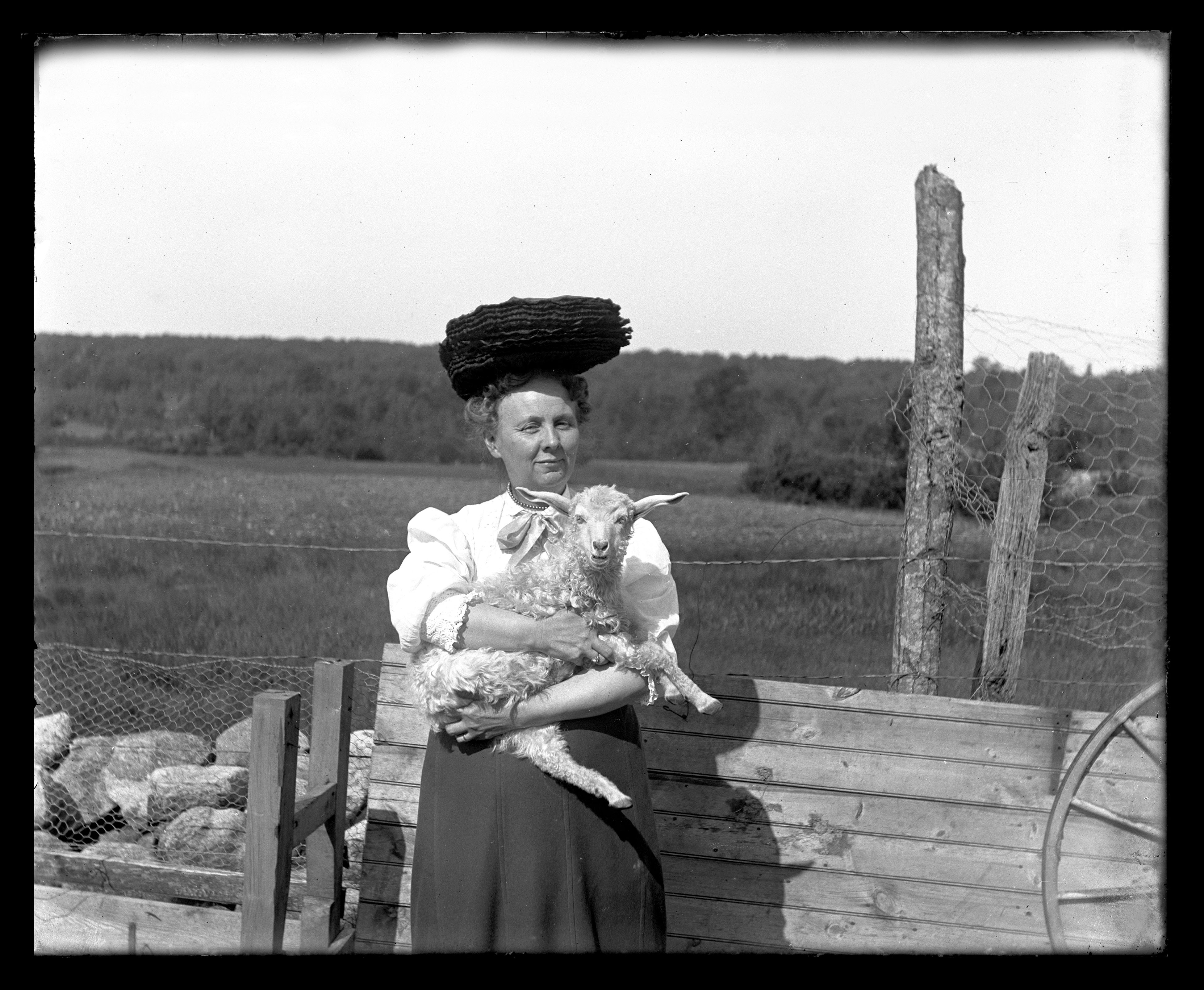 A woman and her lamb. Date unknown. The image is from a glass plate negative and part of the "Somebody Photographed This" collection.