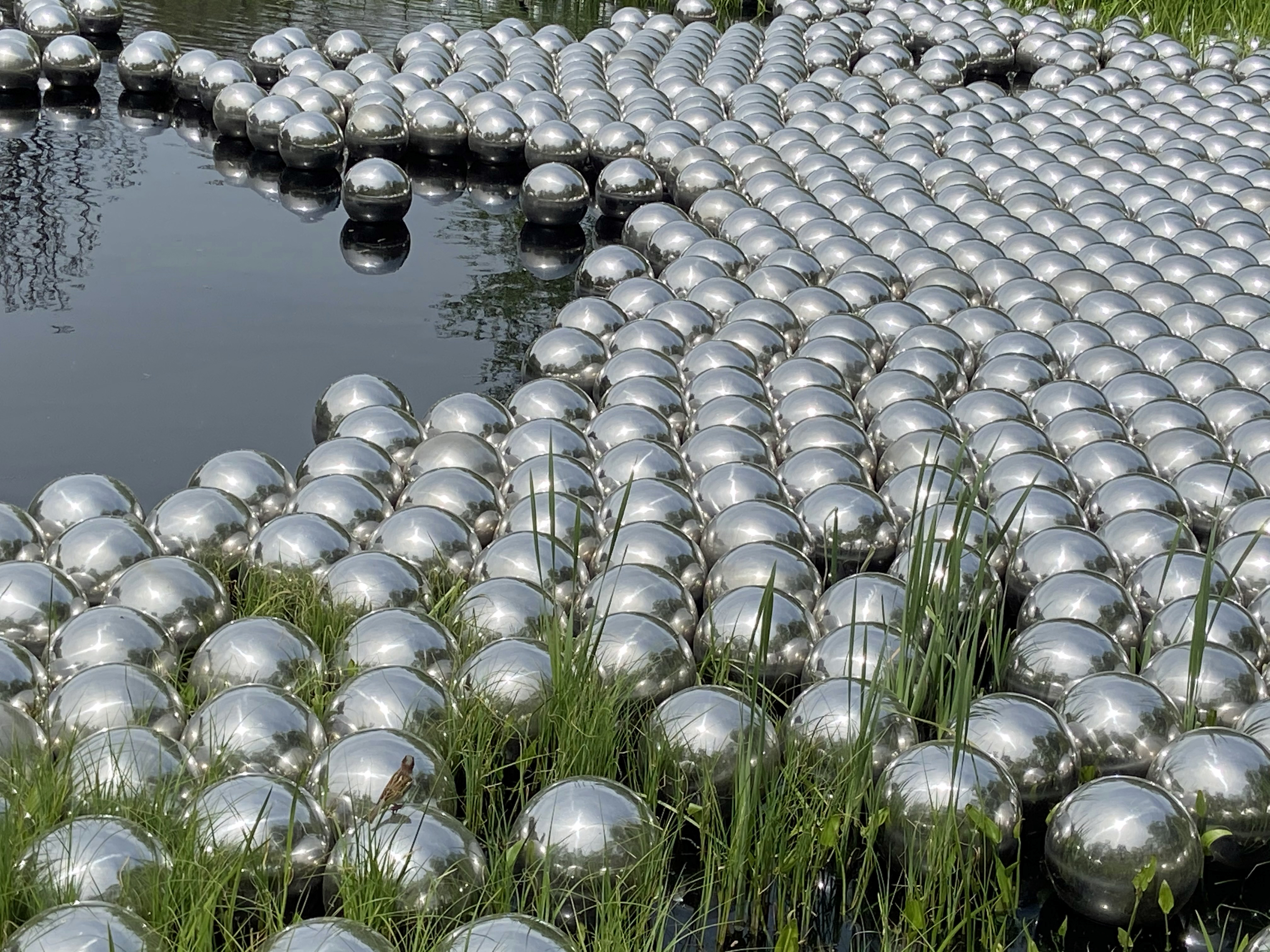 The hottest ticket in NYC right now: the Yayoi Kusama show at the New York Botanical Garden in the Bronx.