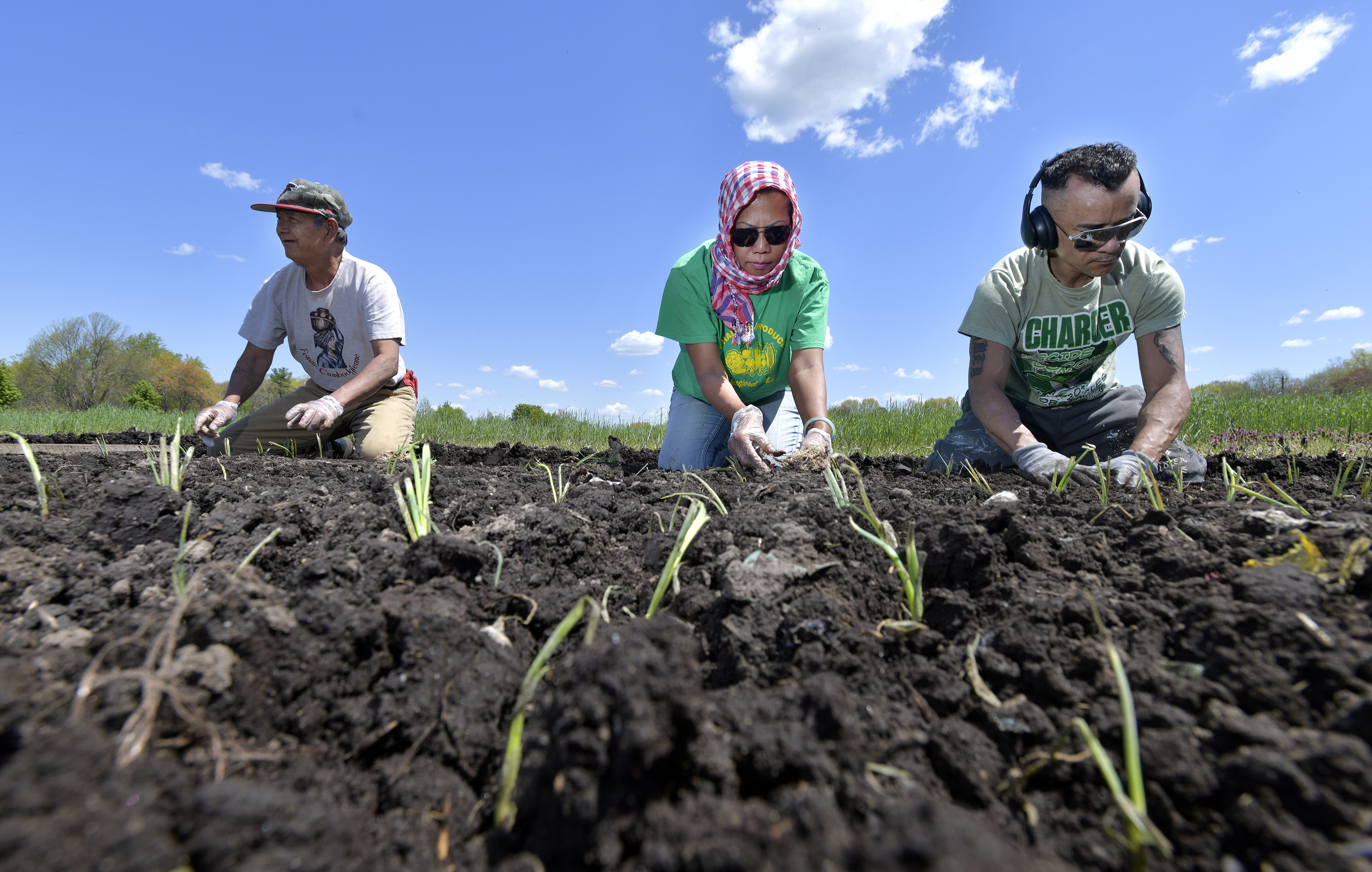 Phalla Nol planted onions with the help of farmers Kao Caay and Tony Sin, both of Lowell, at White Gate Farm in Dracut.
