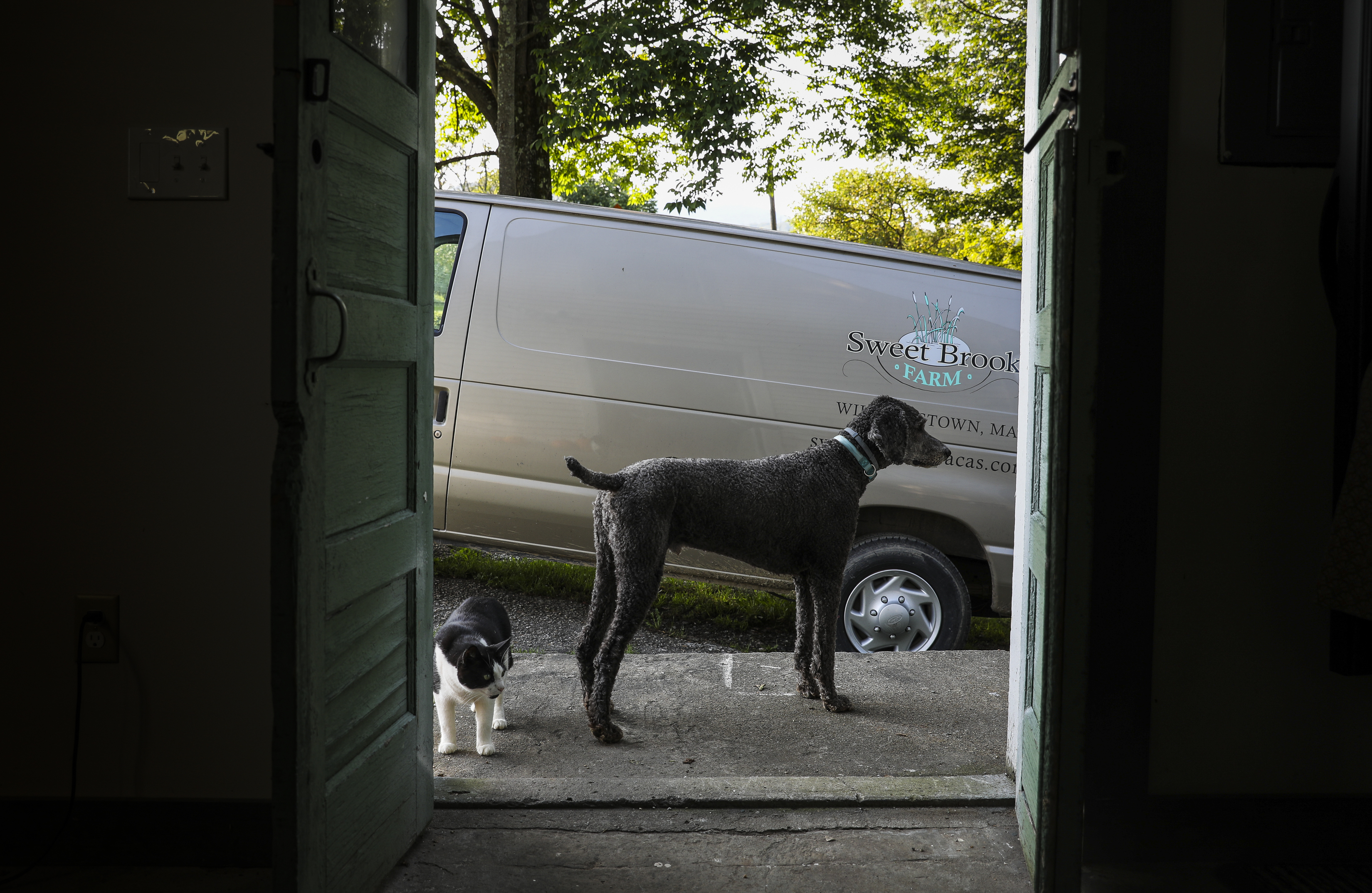 Arthur (left) and Reggie stand outside of Sweet Brook Farm’s new store.