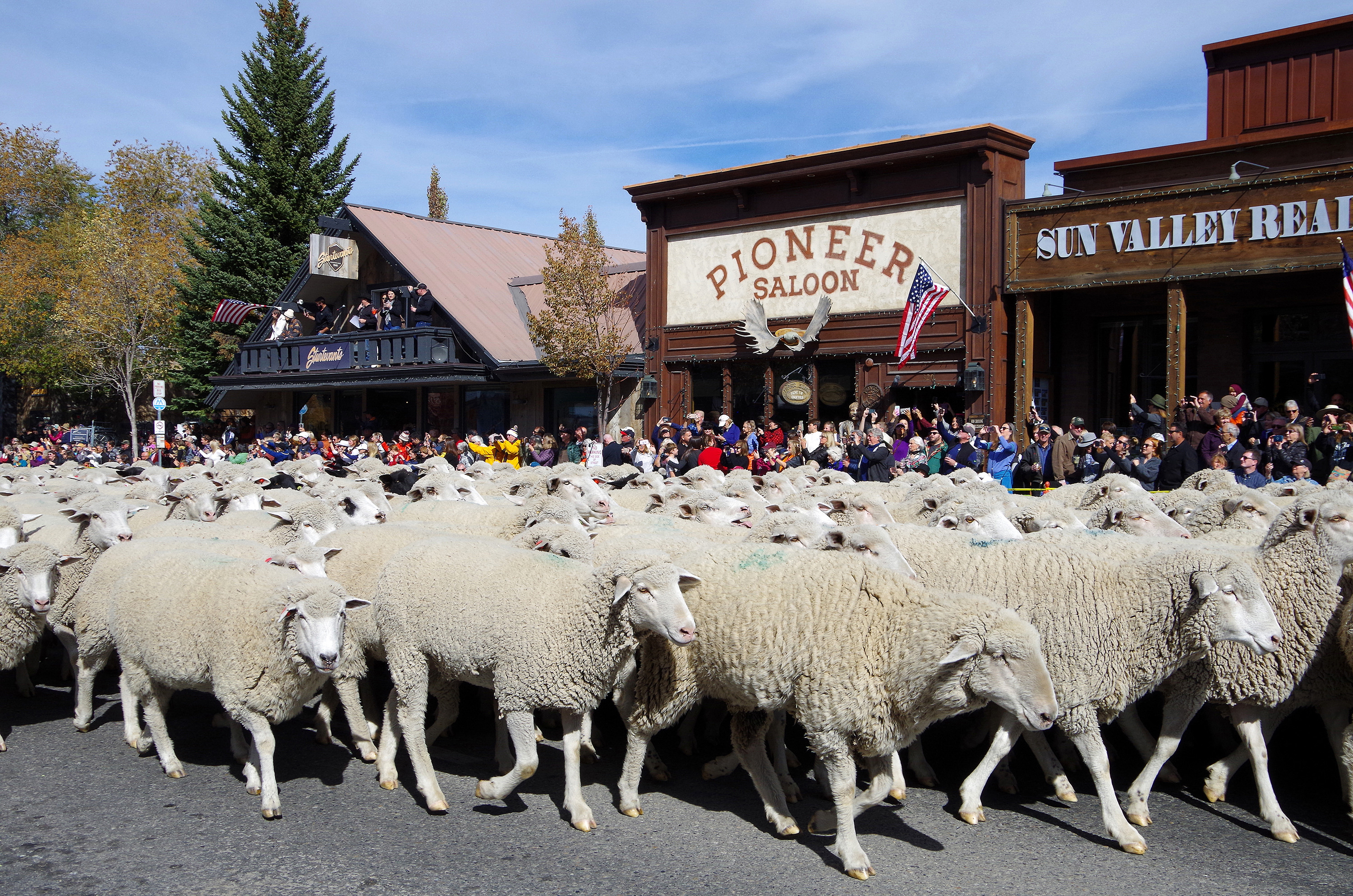 Festival celebrates Idaho's sheep migrations and helps preserve age-old  traditions - The Boston Globe