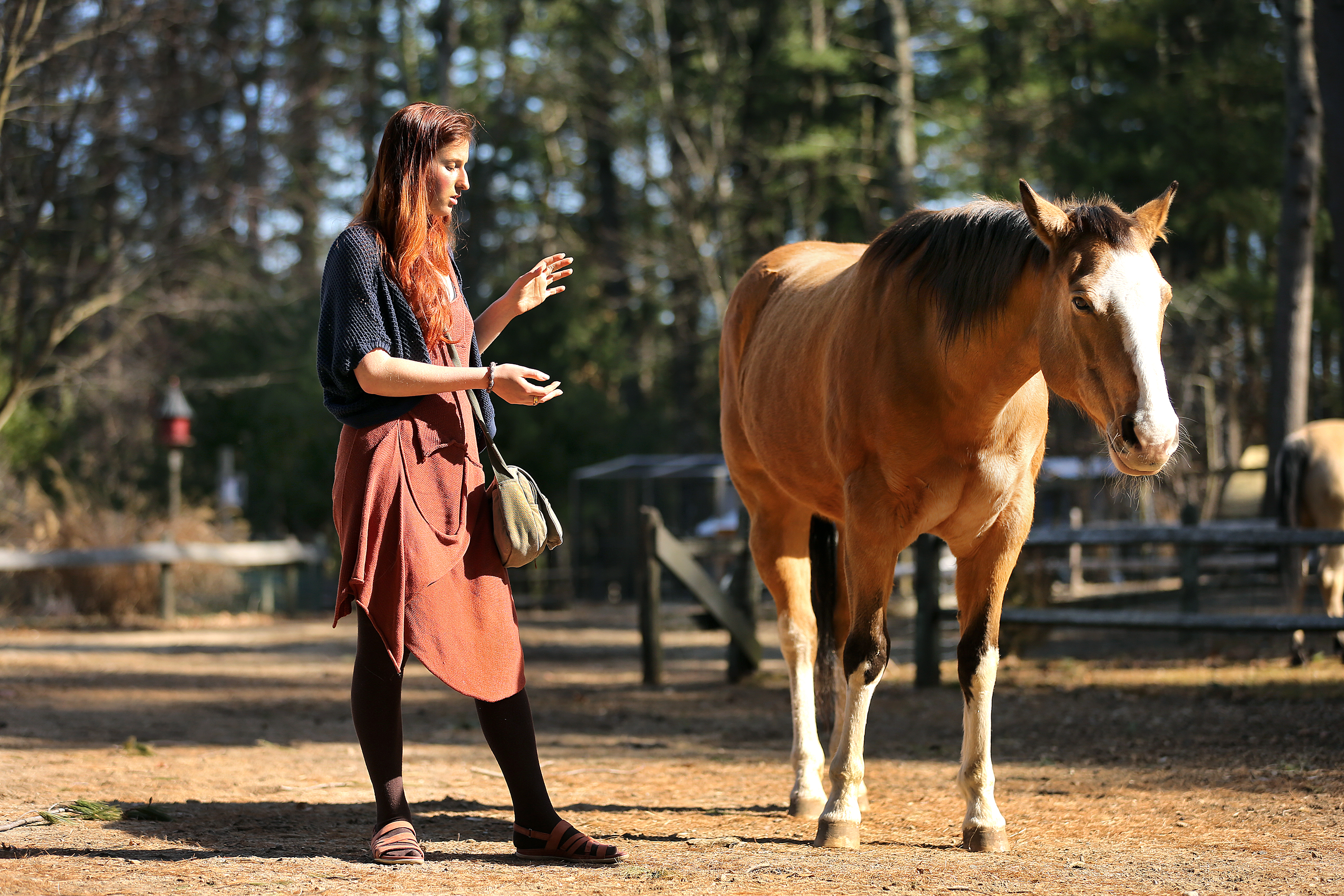 Chloe Moers practiced animal reiki at the Winslow Farm Animal Sactuary, where she communicates with the animals there. She sensed that an abused show horse does not want to be touched.