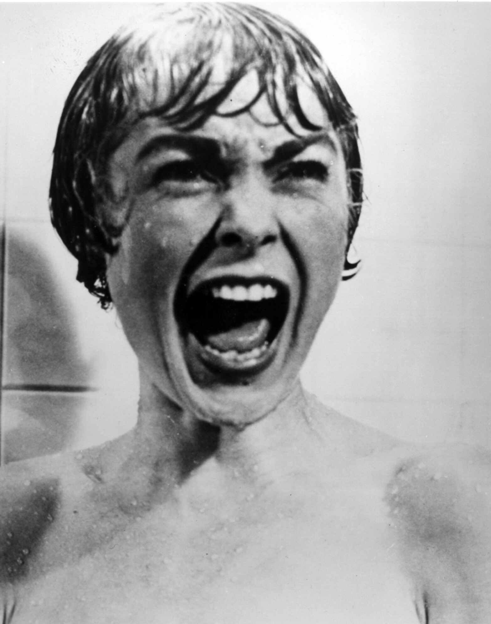 Janet Leigh in "Psycho," from 1960. Research indicates that wealthier people are likelier to enjoy horror movies.