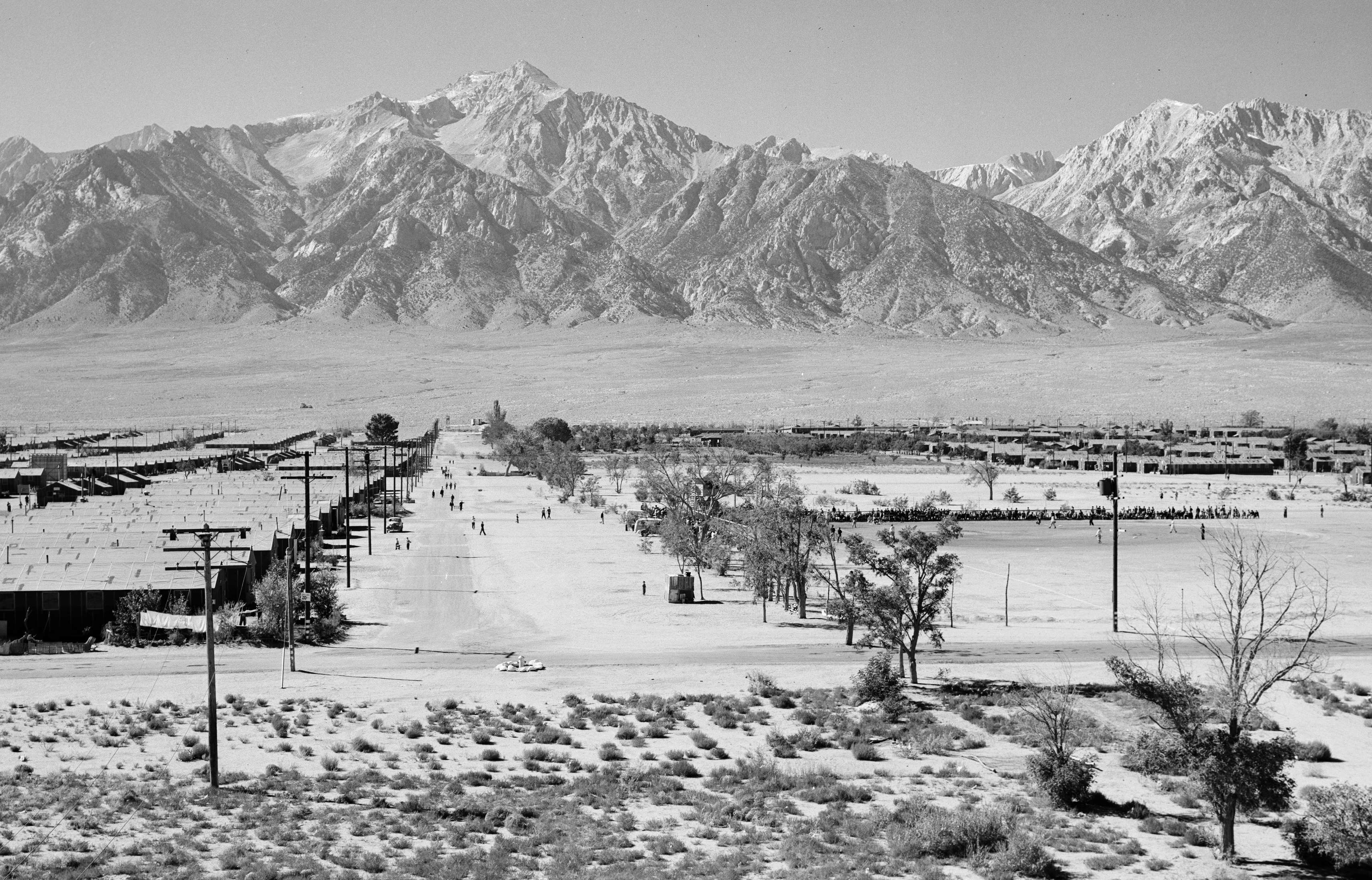 写真　Ansel Adams「第二次世界大戦中のマンザナー強制収容所」 Let's be honest, Ansel Adams's images of a WWII internment camp