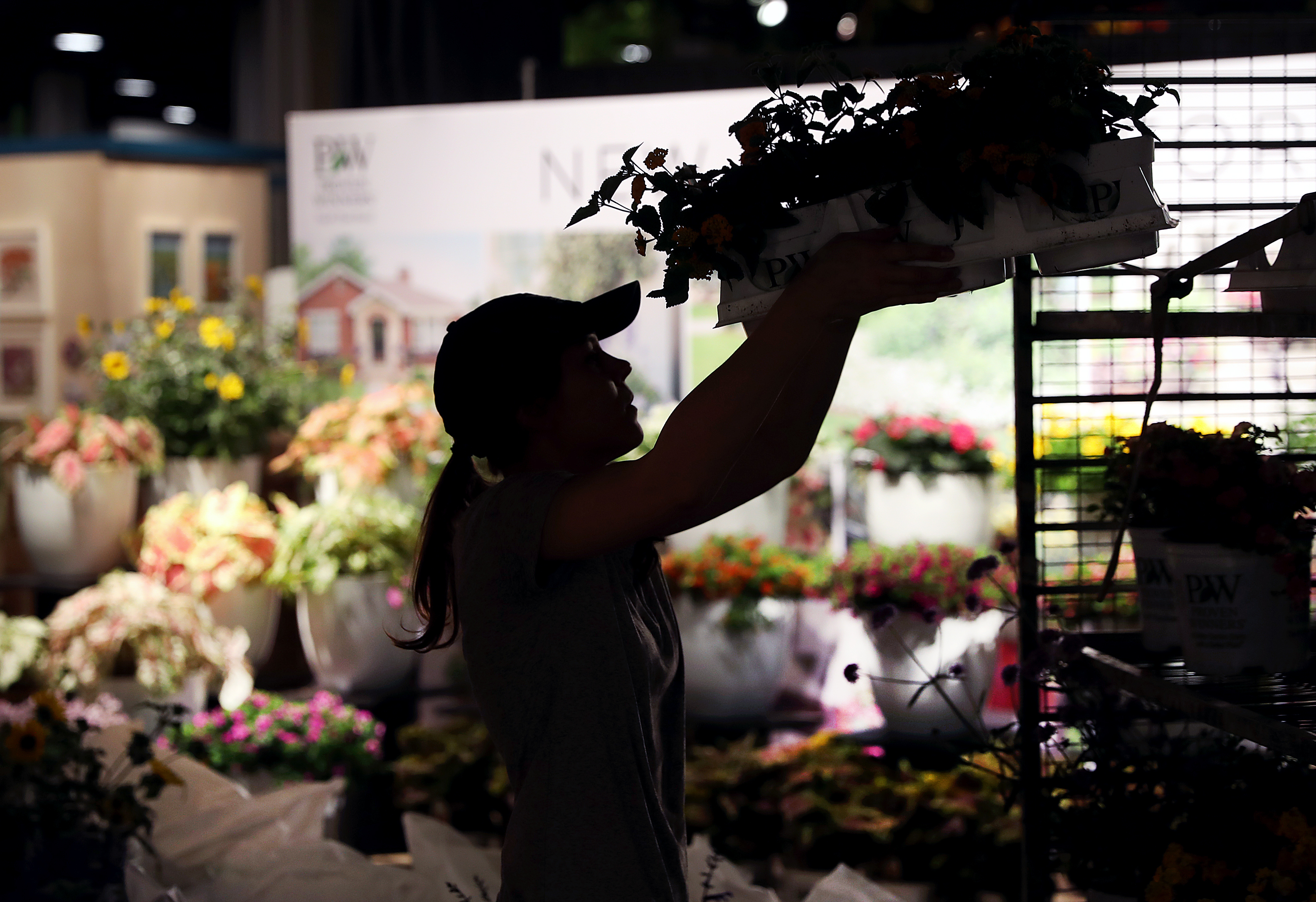 Annah Vertin set up a display of plants before the 2020 Boston Flower  Garden Show at the Seaport World Trade Center.