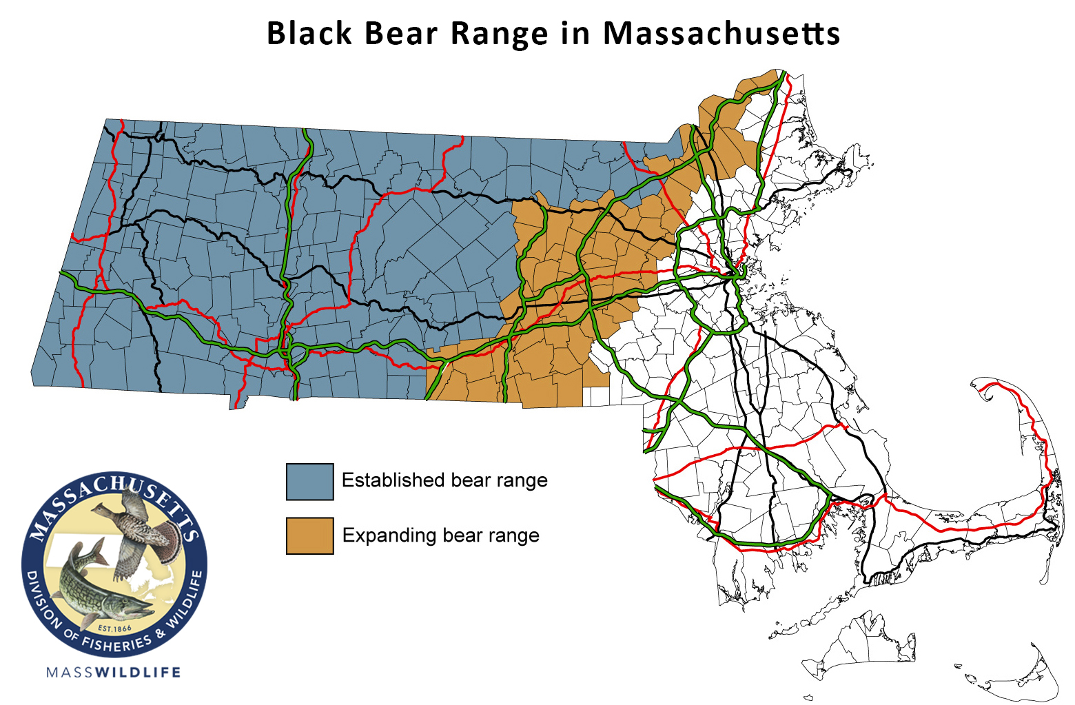 The bear population is expanding into Eastern Massachusetts.