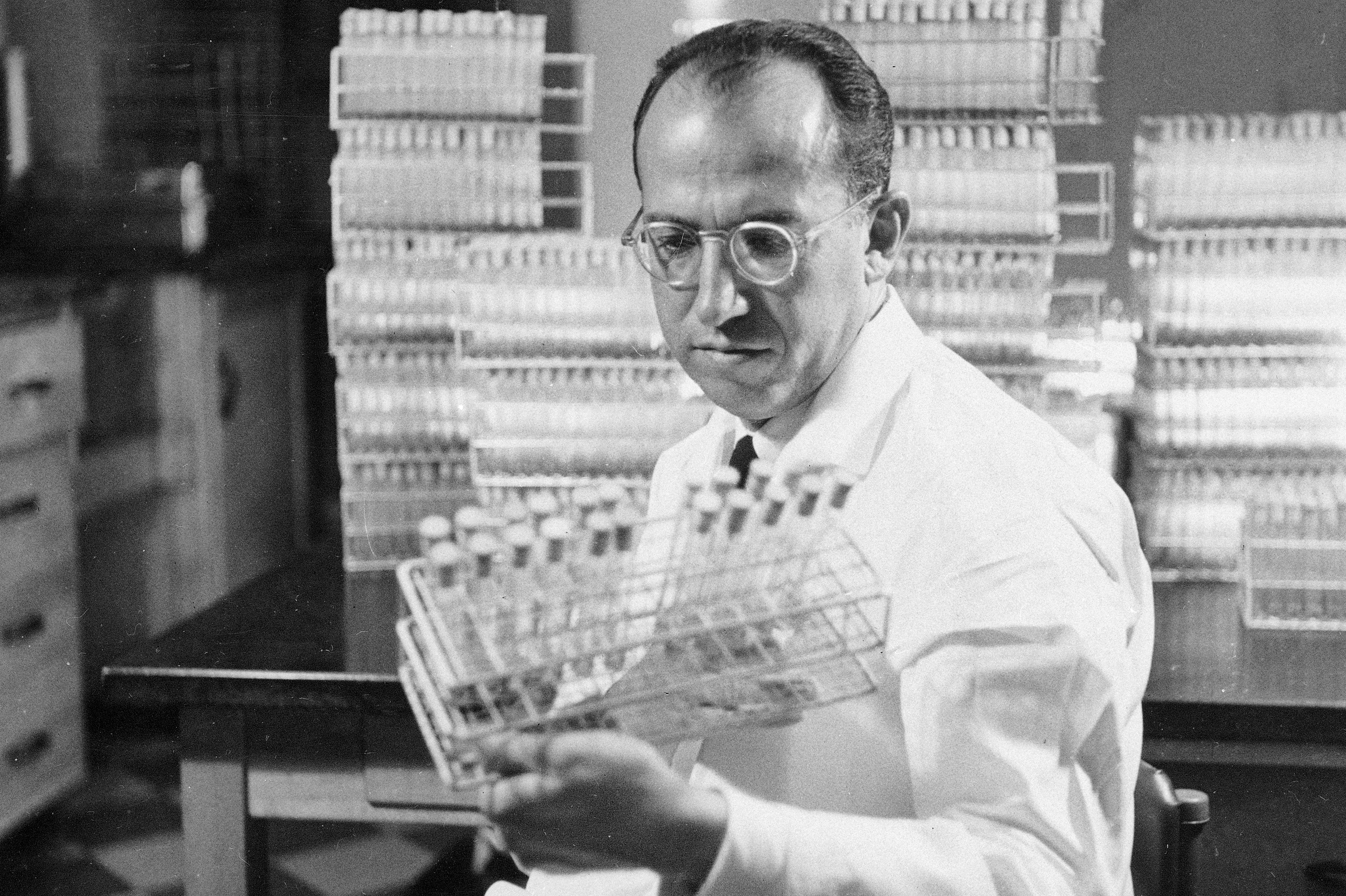 Dr. Jonas Salk, a developer of the polio vaccine, examined a rack of test tubes in his lab in Pittsburgh in 1954.