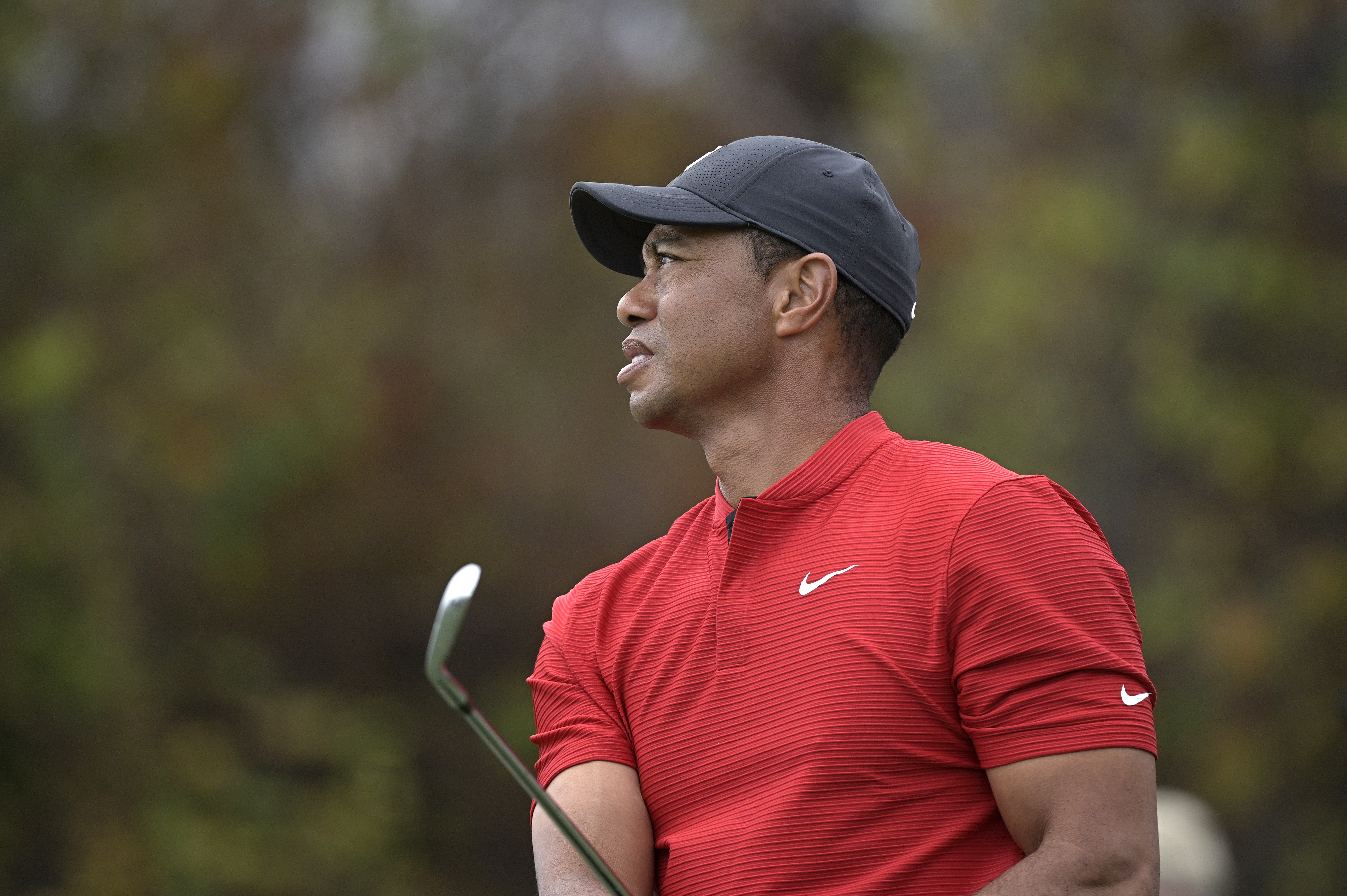 Like Kemba Walker, Tiger Woods has had stem cell therapy to treat injury. (AP Photo/Phelan M. Ebenhack)