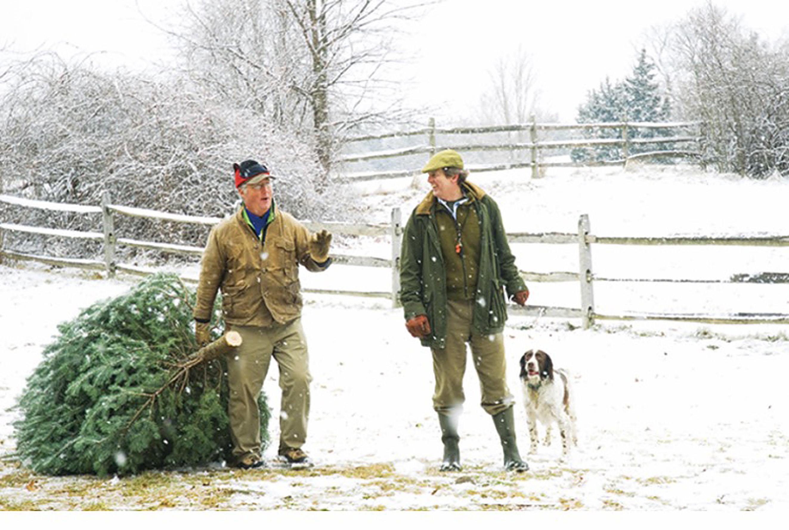 End of an era as Topsfield farm sells its last Christmas trees The