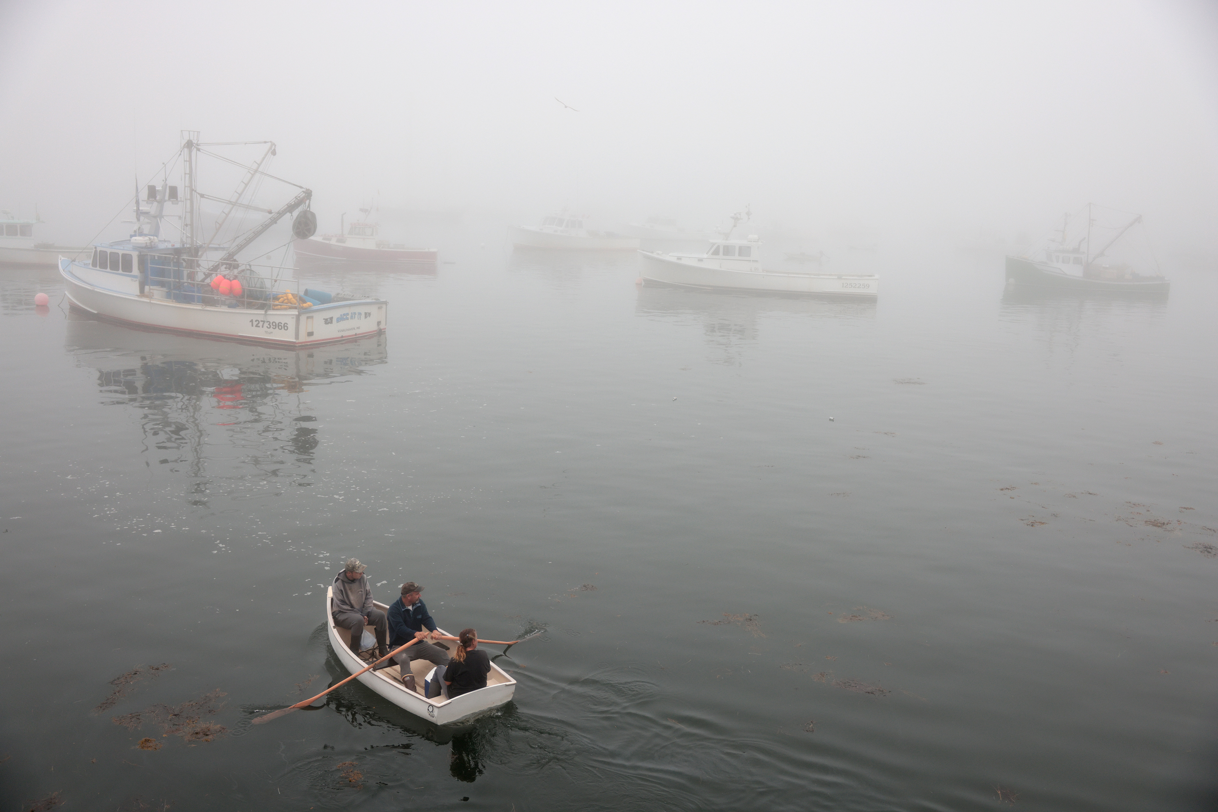  A crew rowed to their boat on a foggy morning in Vinalhaven on July 26. The Gulf of Maine, which stretches from Cape Cod to Nova Scotia, is one of the fastest warming bodies of ocean water on the planet, but, for 30 years, that trend worked in Vinalhaven’s favor, turning the waters that surround the island into a near-perfect nursery for lobster. 