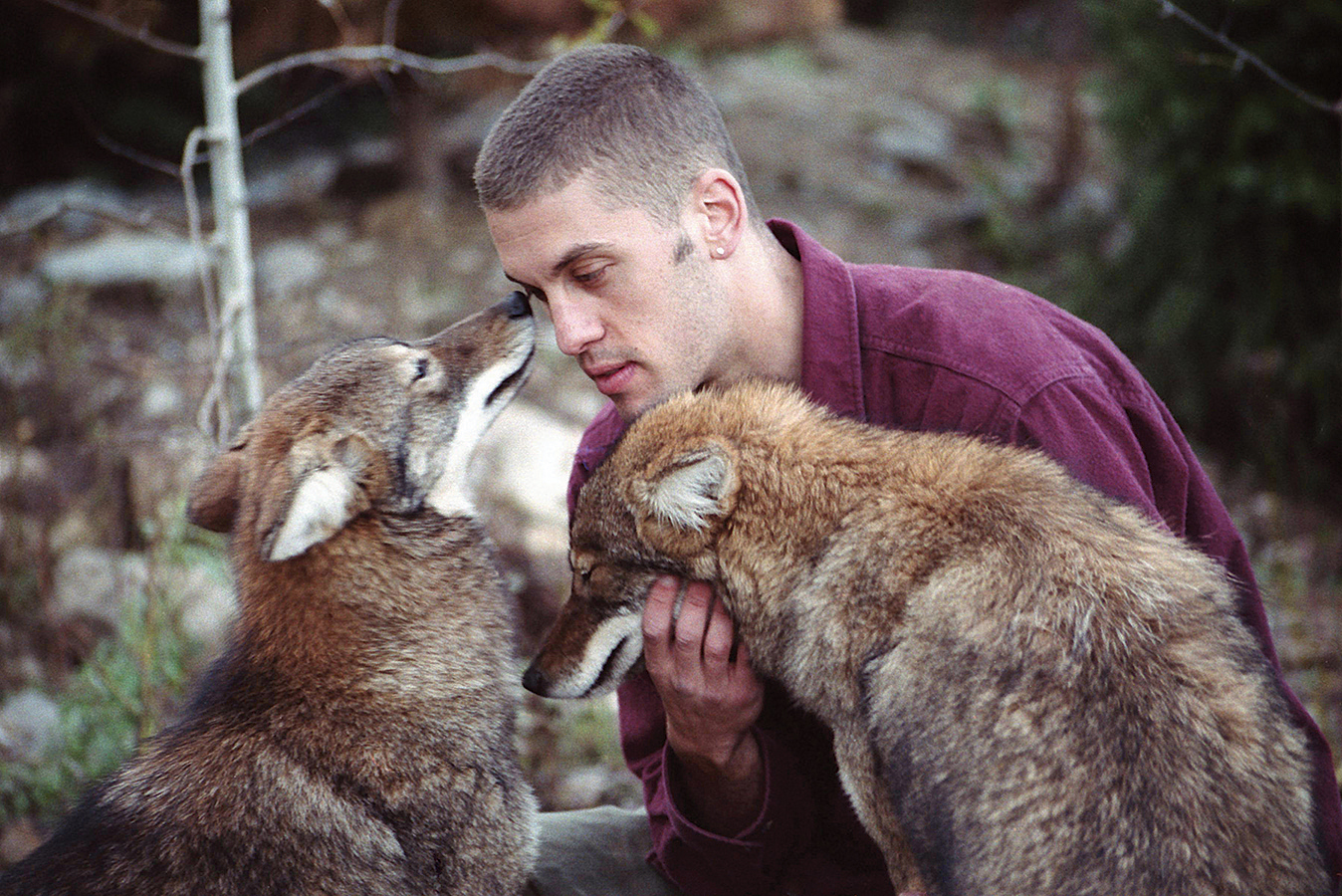This scientist bottle-fed and bayed with coyotes. Was he ...