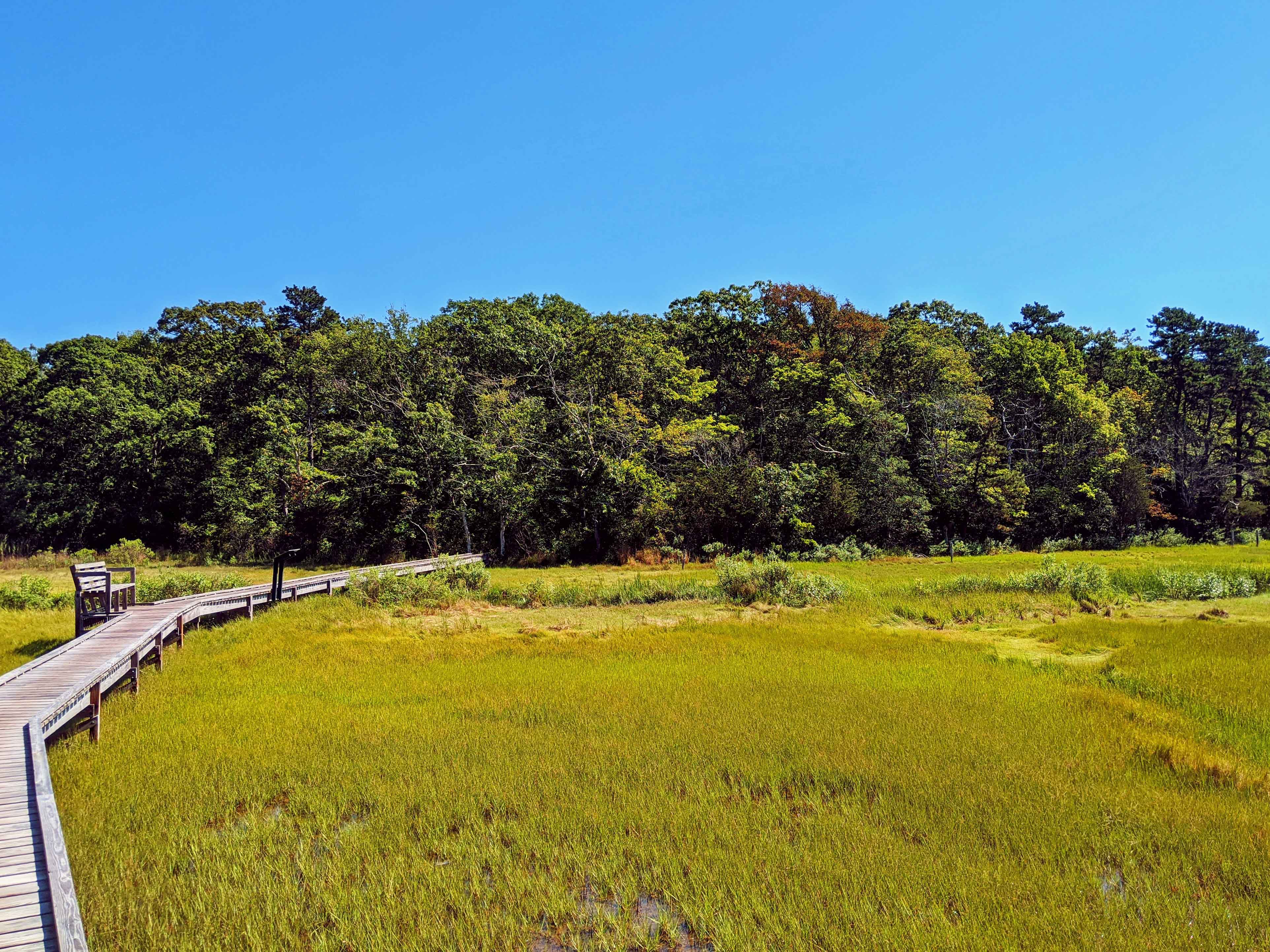 A boardwalk across the Little River marsh at Cornell Farm connects the Trustees of Reservations trail to a Dartmouth Natural Resources Trust trail.