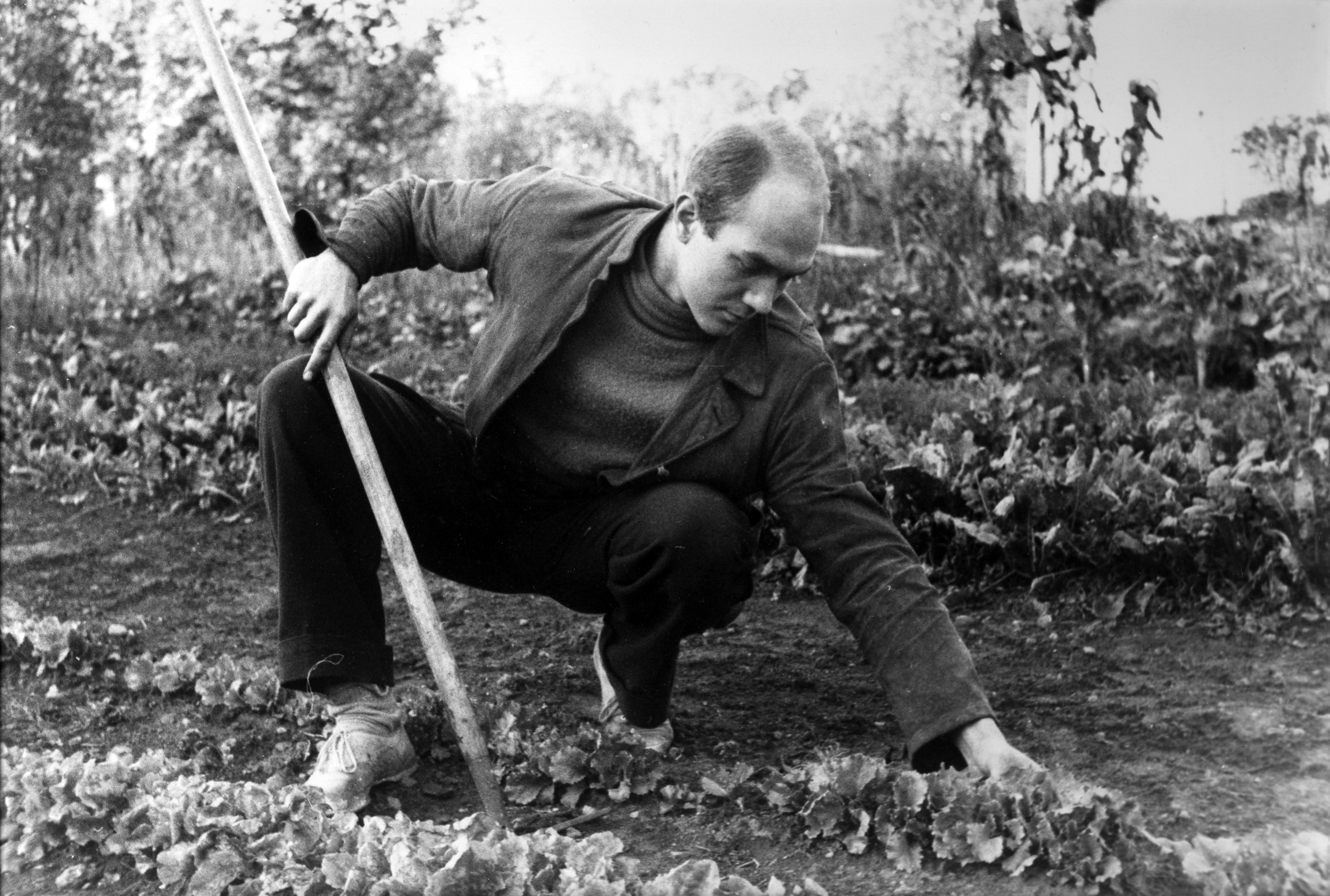 Fred Hearn gardening, 1936.