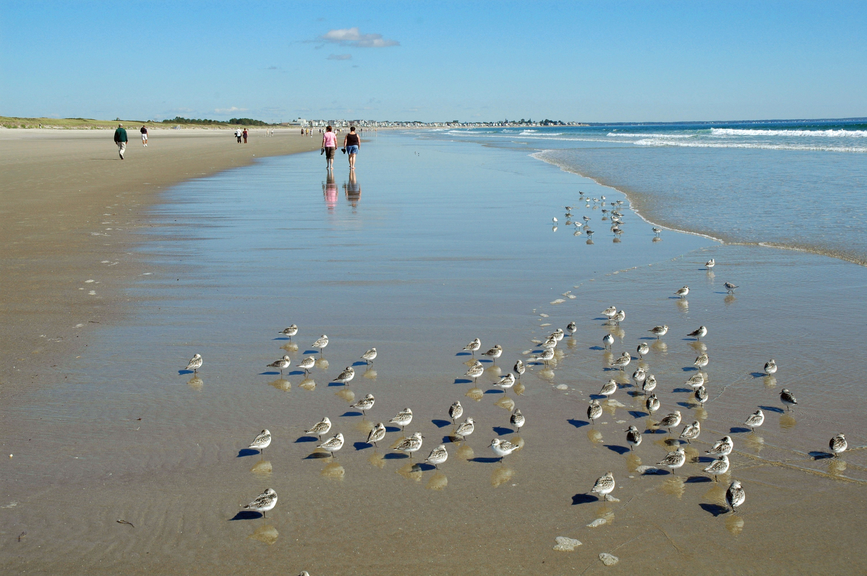 Ogunquit Beach in Maine.