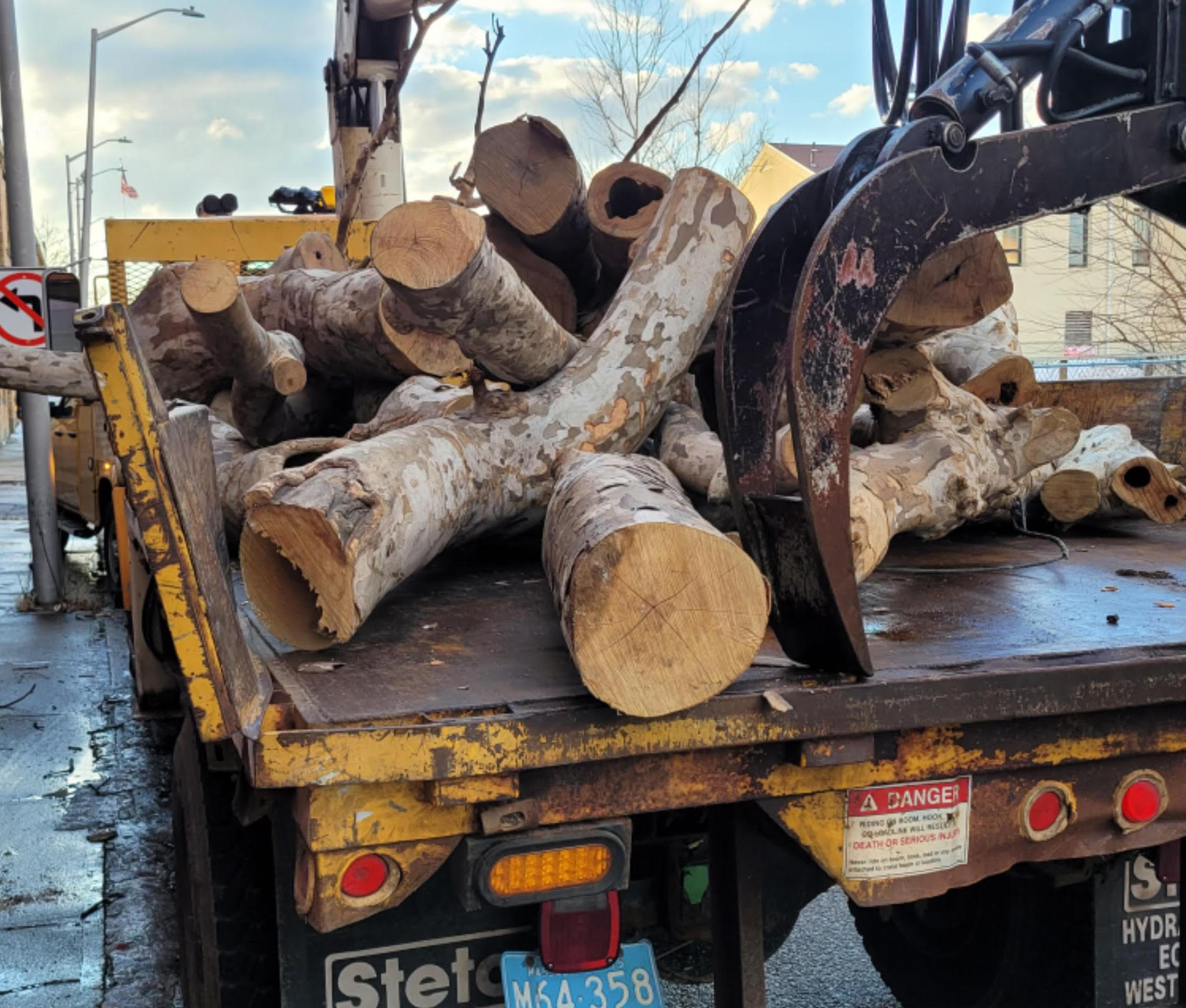 Brockton seeks to acquire Liberty Tree tied to Underground Railroad