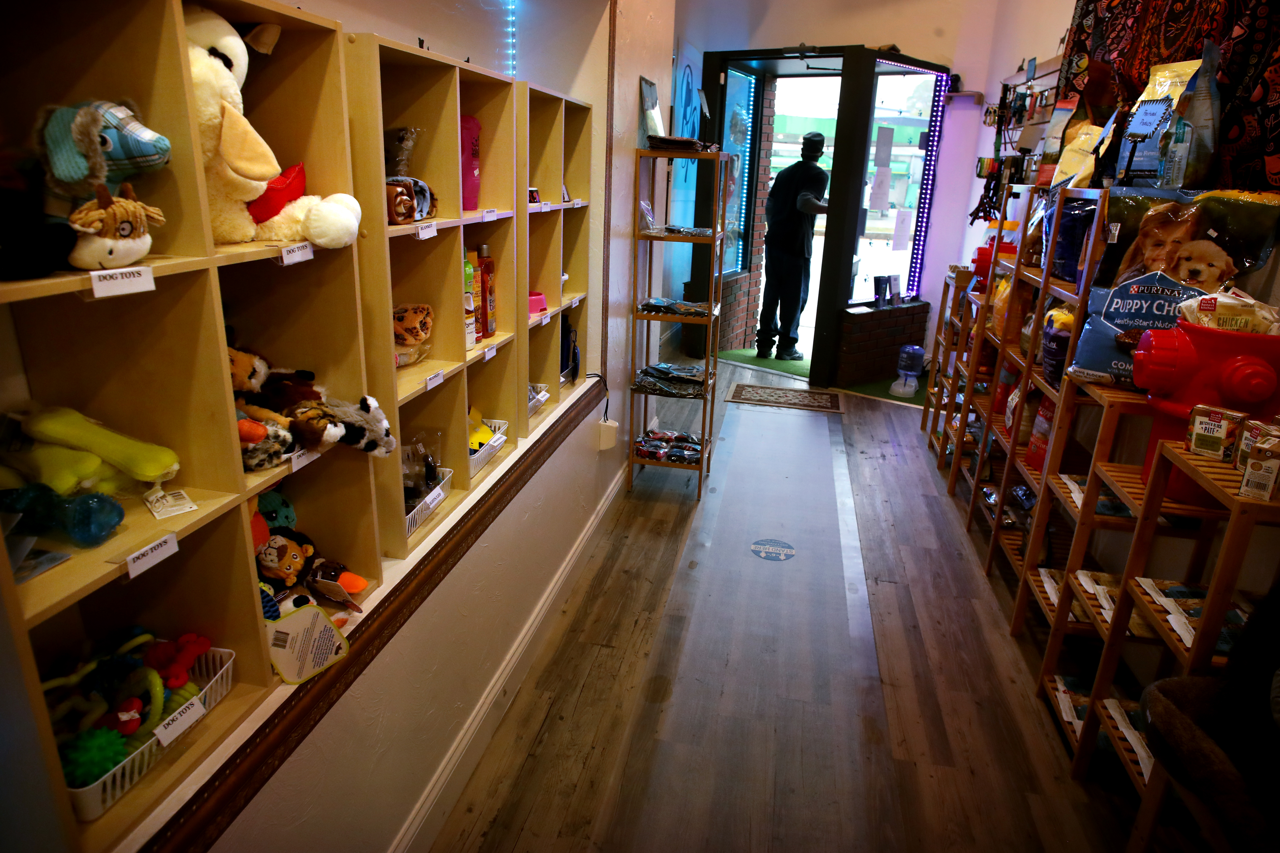 Ralph Long III waits to greet a customer at Paws & Purrfection Company in Malden.