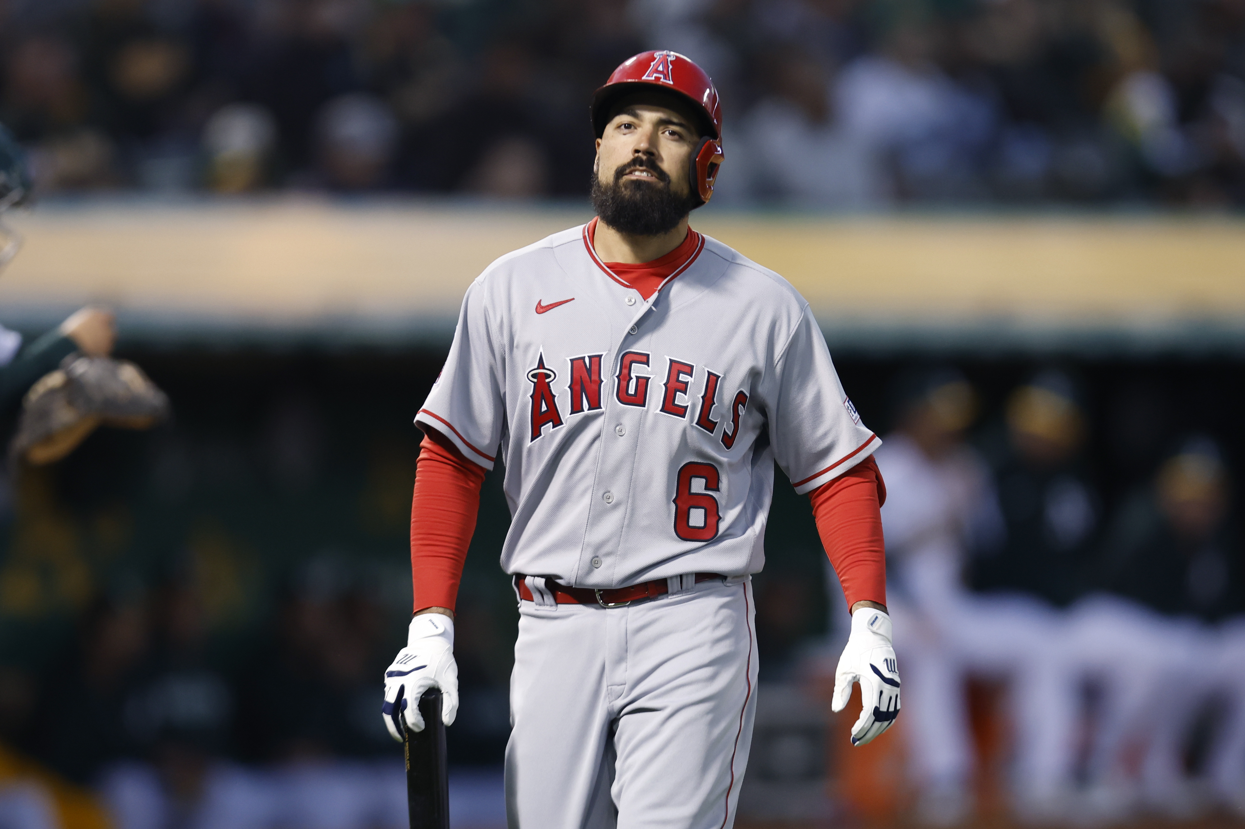 MLB investigating video showing Angels' Anthony Rendon grabbing fan by the  shirt