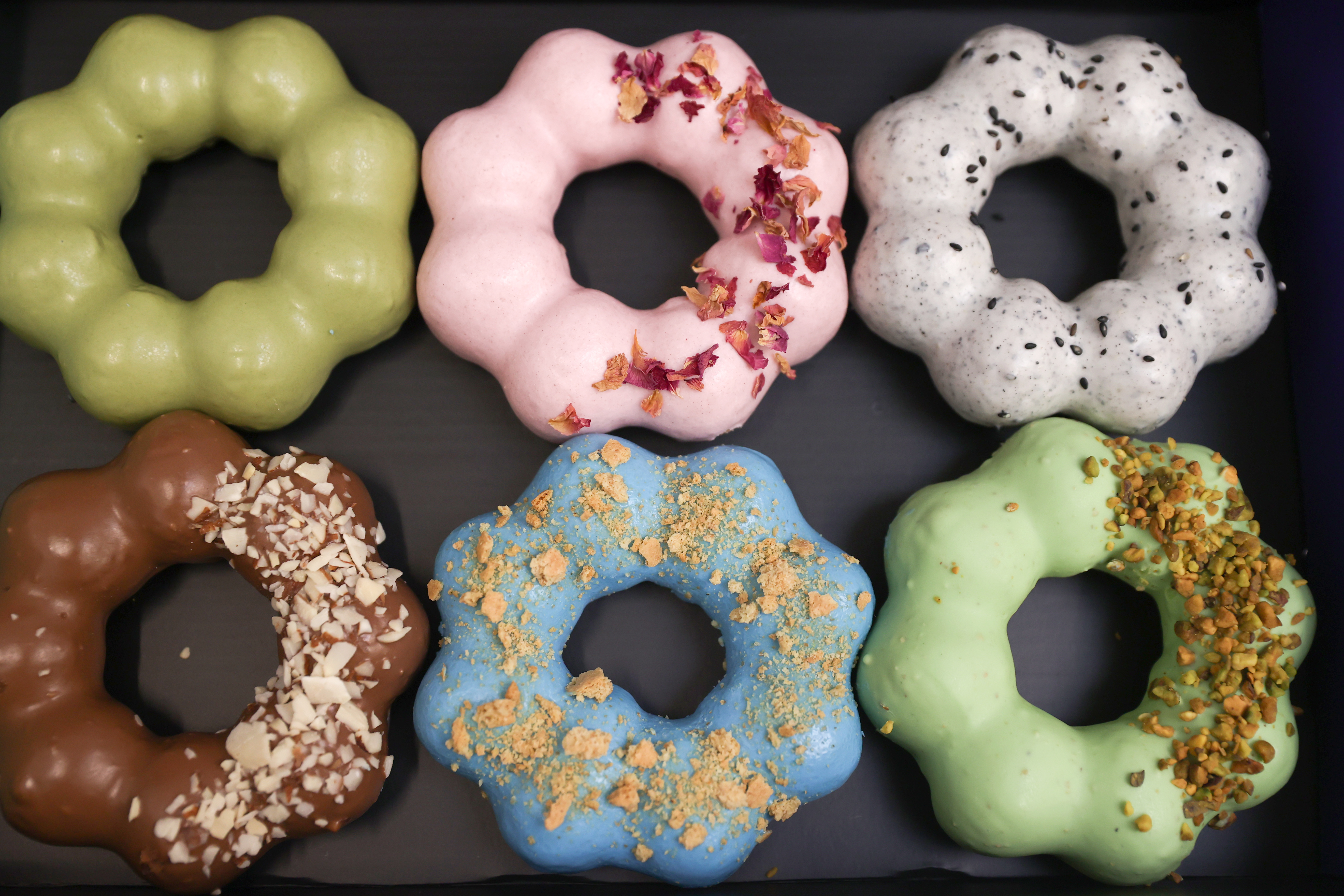Twisted Donuts - Catherine Zhang