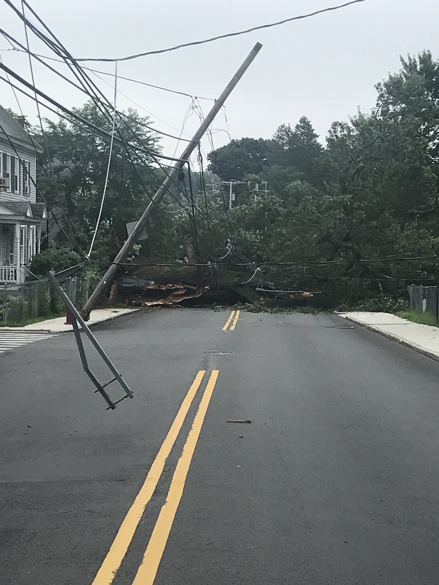 Here's a big tree that came down Wednesday on Hildreth St. in Lowell.