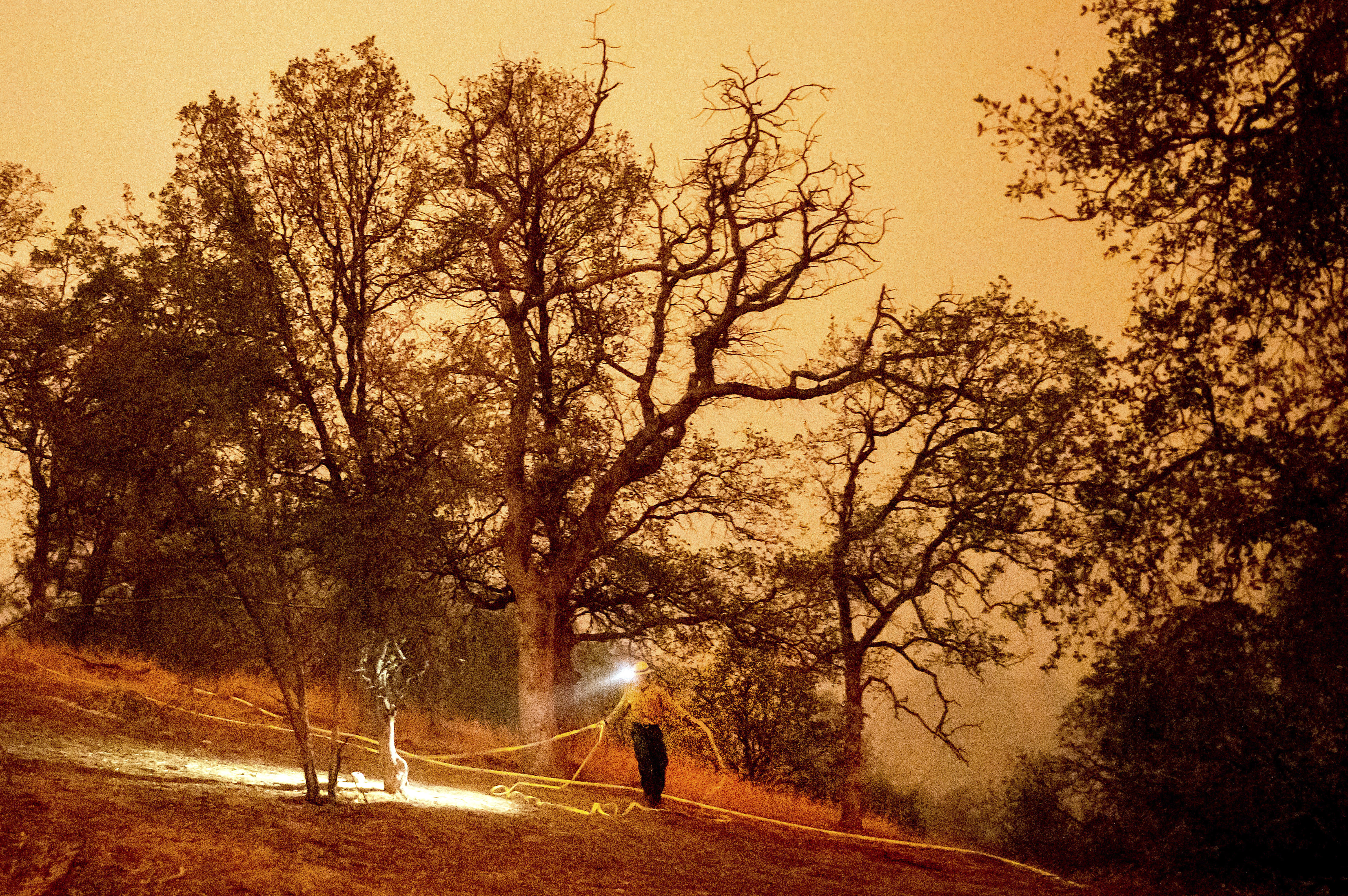 A firefighter lie hose around the Foothills Visitor Center while battling the KNP Complex Fire in Sequoia National Park, Calif., on Tuesday.