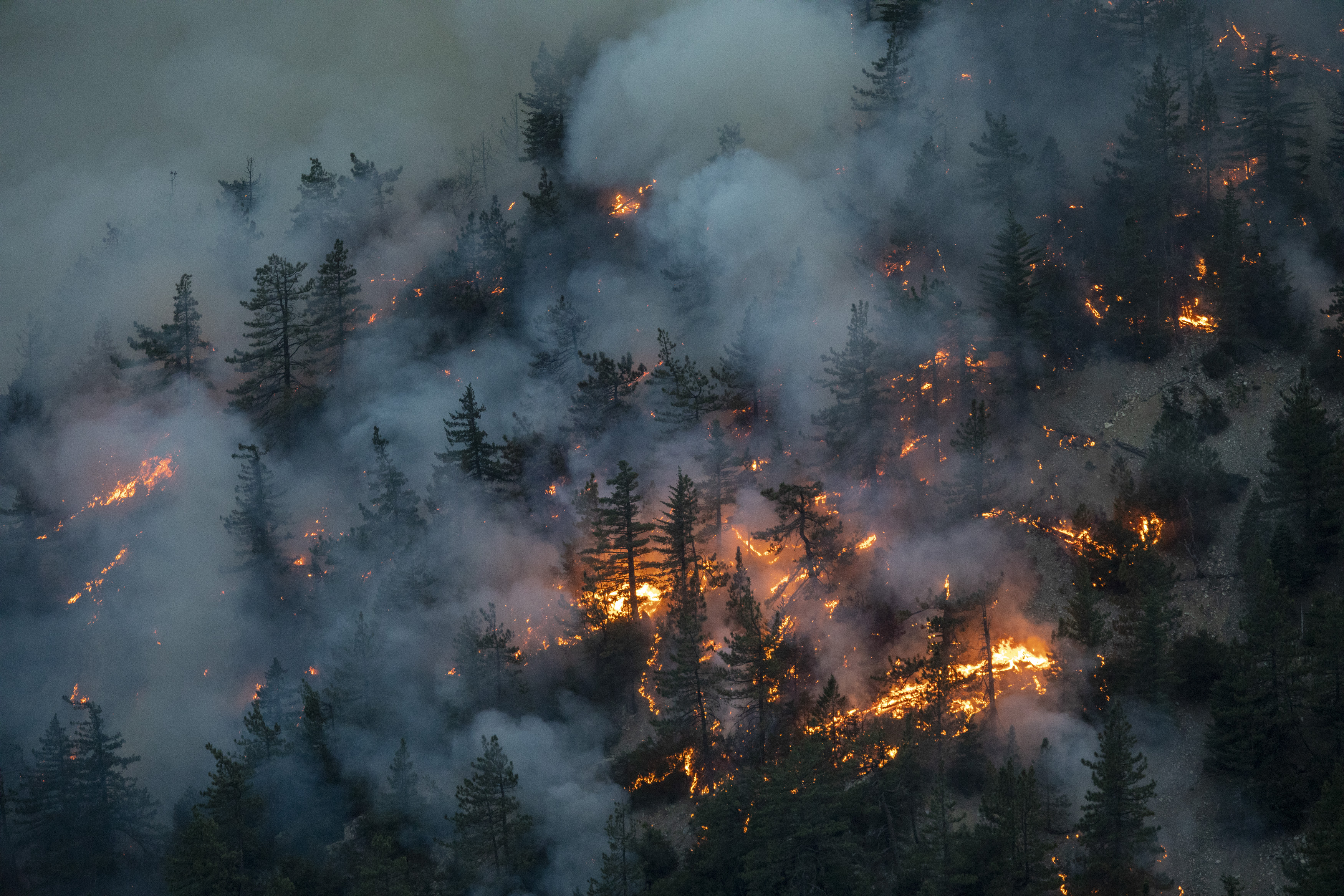The Bobcat Fire burns through the Angeles National Forest north of Monrovia, Calif.