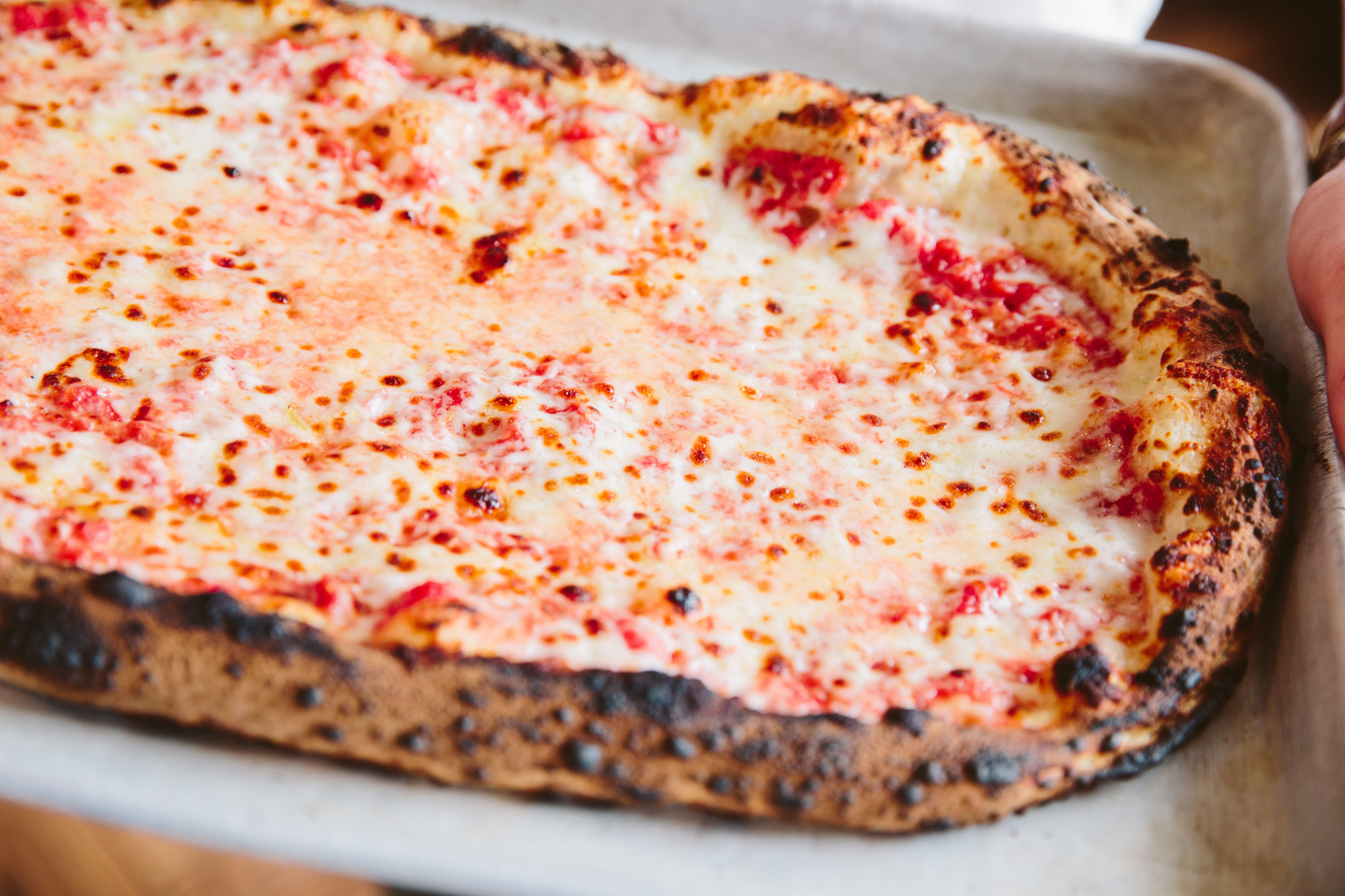 Roman pizza at Caffe Ducali.