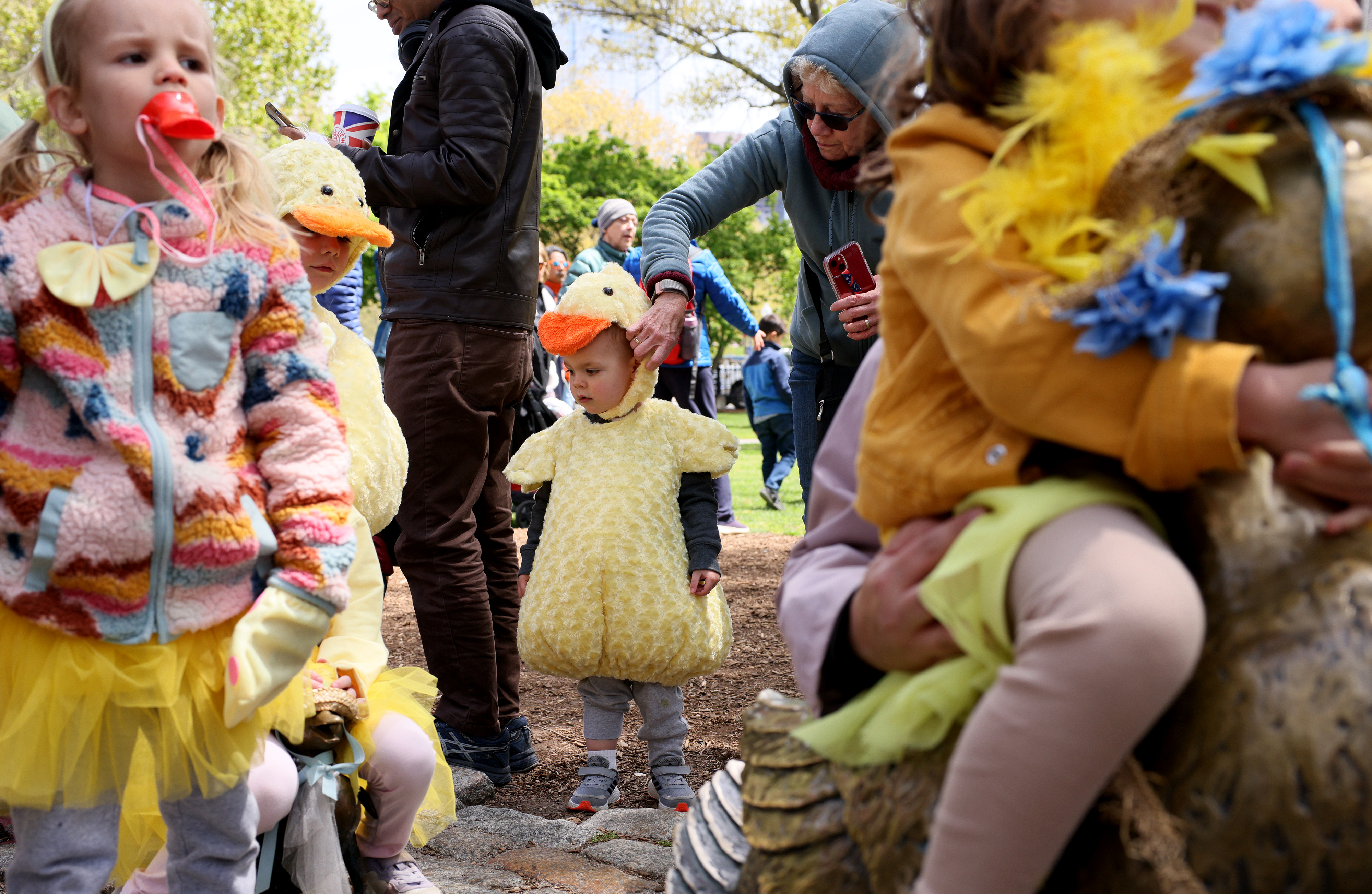 Duckling Day returns, bringing adorably dressed up children to the Common -  The Boston Globe