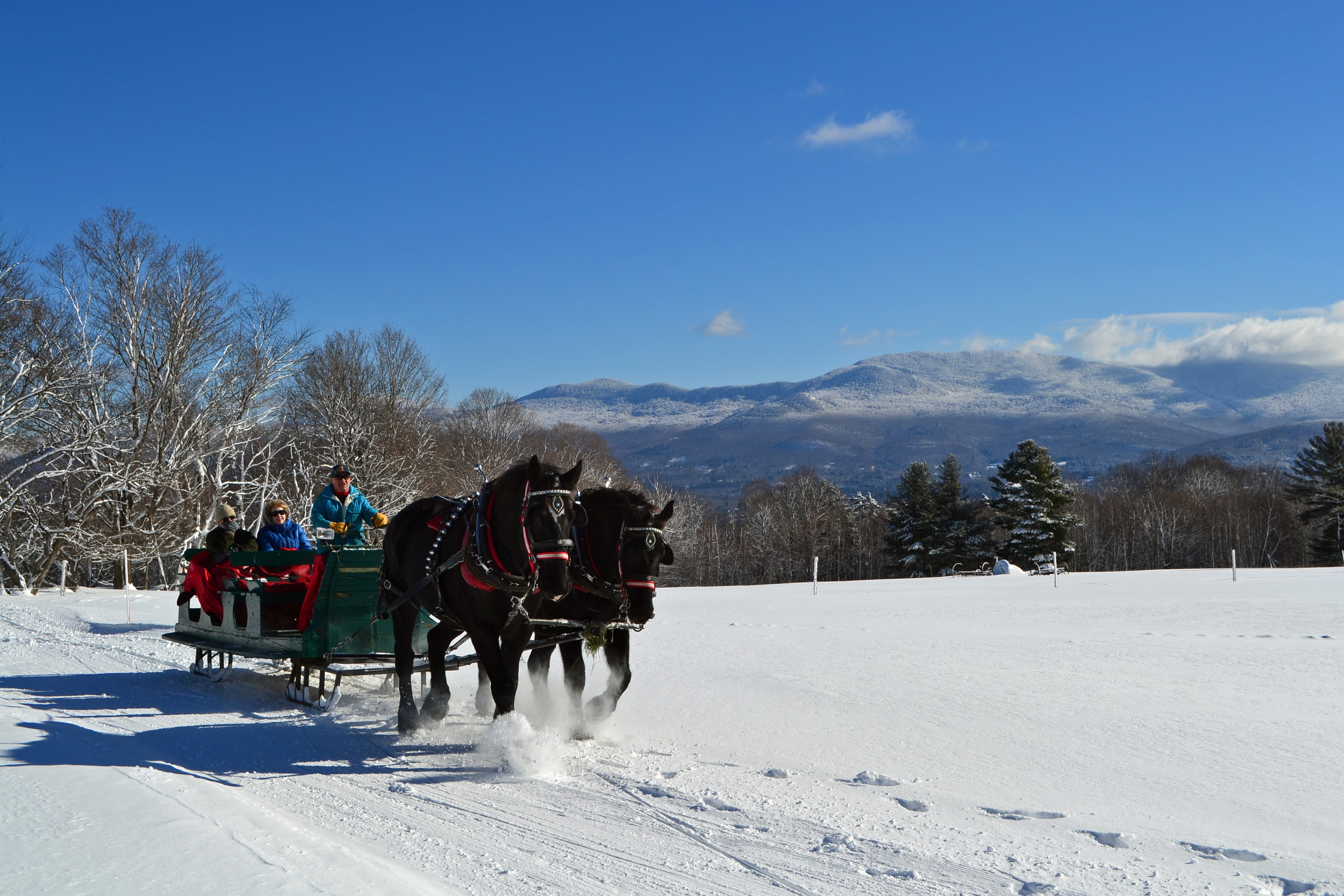 The Trapp Family Lodge offers comfortable trappings, and all the winter fun you can handle, from skiing and snowshoeing to sleigh rides.