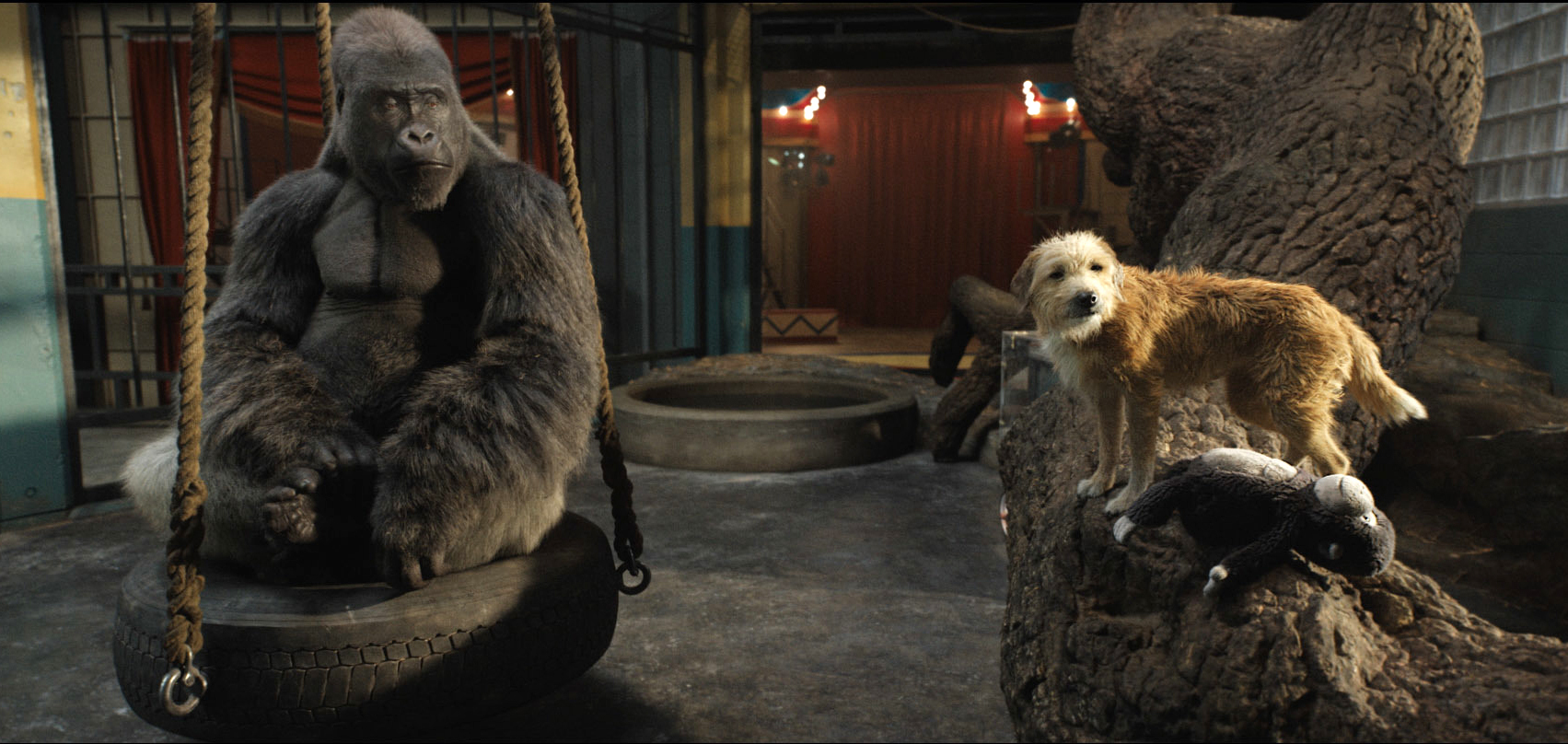 ‘The One and Only Ivan,’ on Disney+, offers a gorillaeye view The