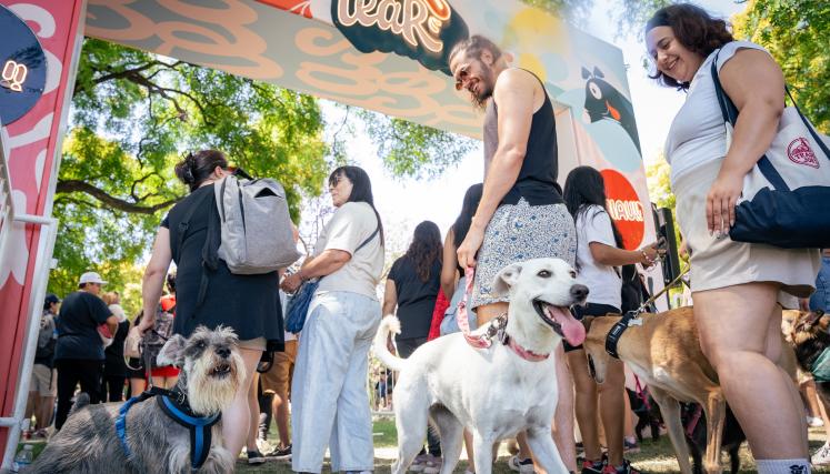 Mascotear 2025: cuándo es, dónde y qué hacer en el festival pet friendly  más grande de Buenos Aires