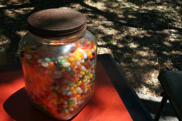 St Augustine Craigslist posting for Jelly Beans from the ...
