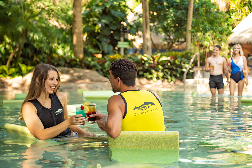 Be a VIP: New Discovery Cove package allows you to swim with the