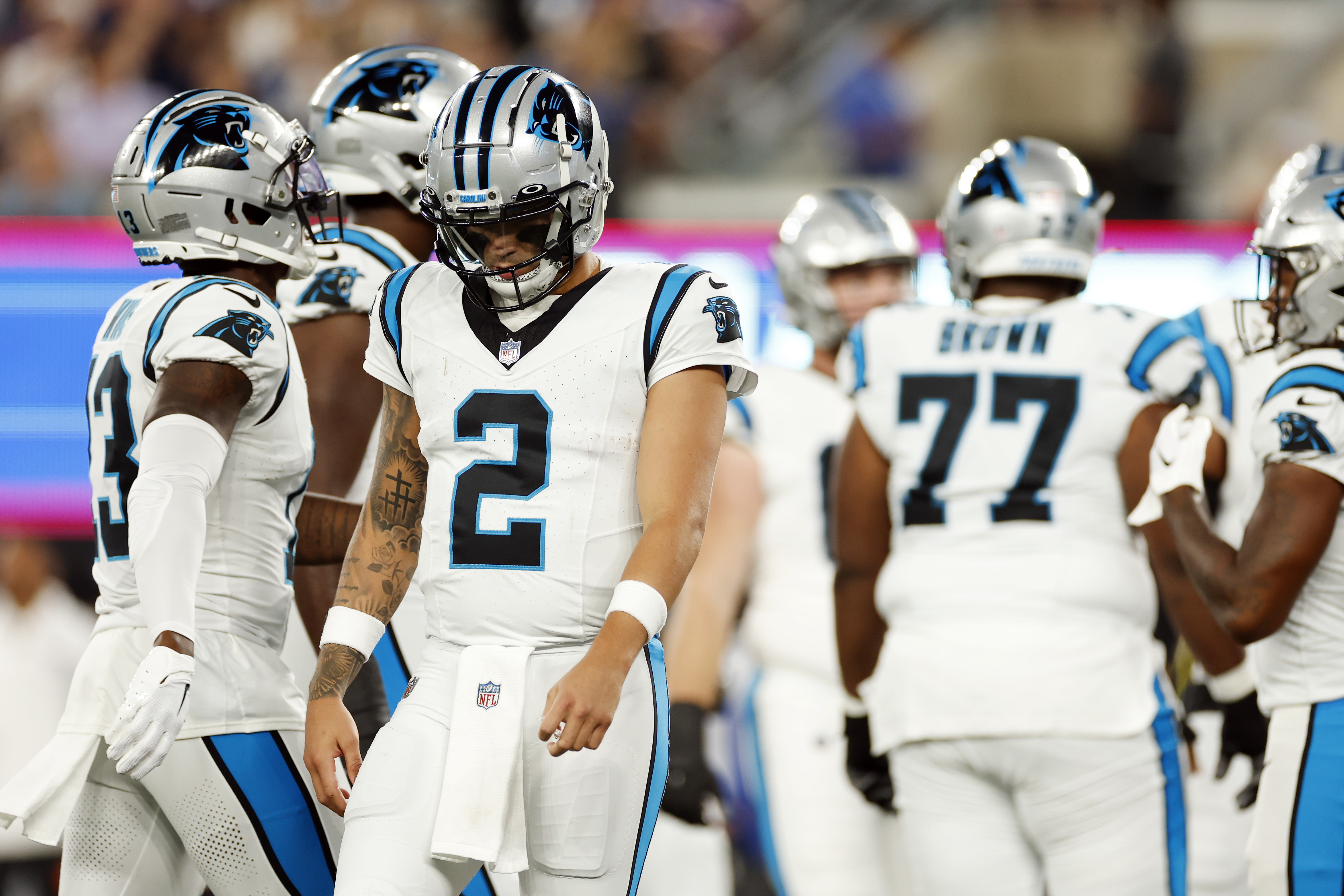 7,066 Panthers Giants Stock Photos, High-Res Pictures, and Images