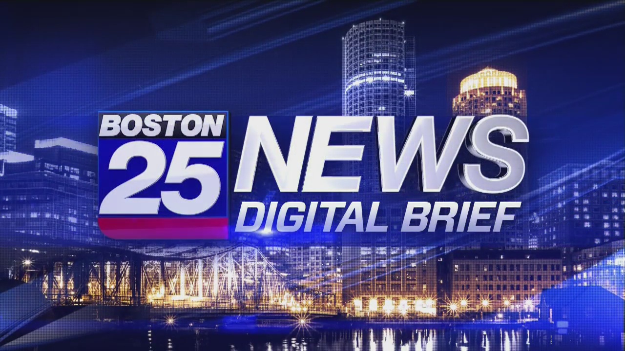 boston 25 news vantage travel