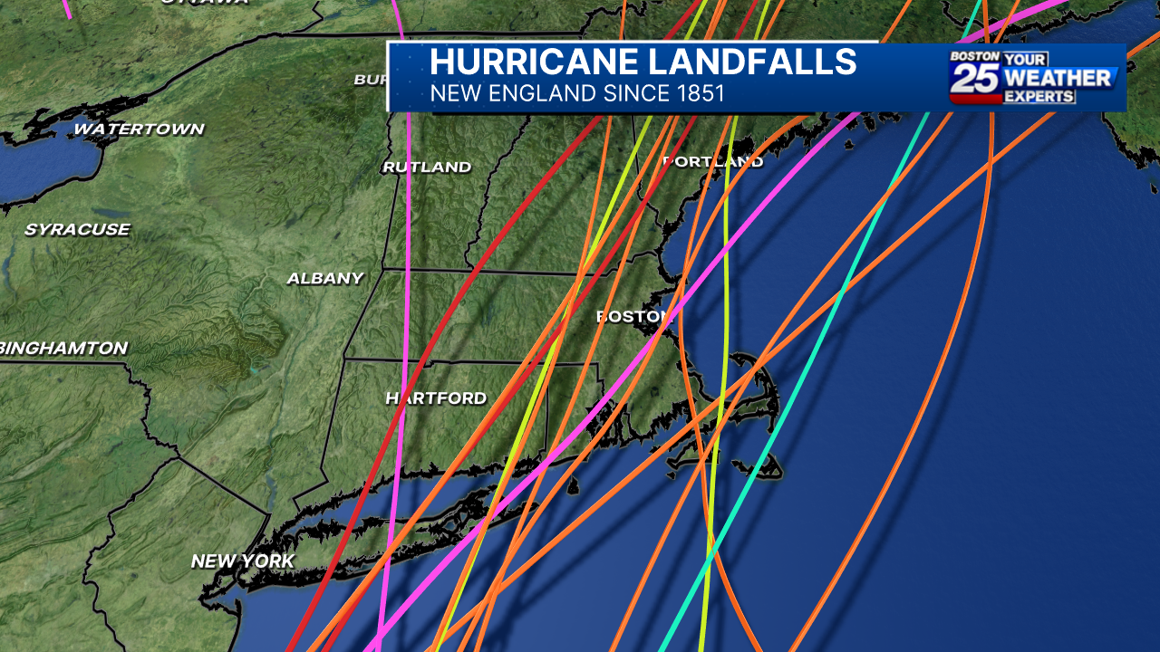 ジョリーンTHE FEW　HURRICANE 36 3T7HHKTRHNGT3LD4VHTBMM5K24.png