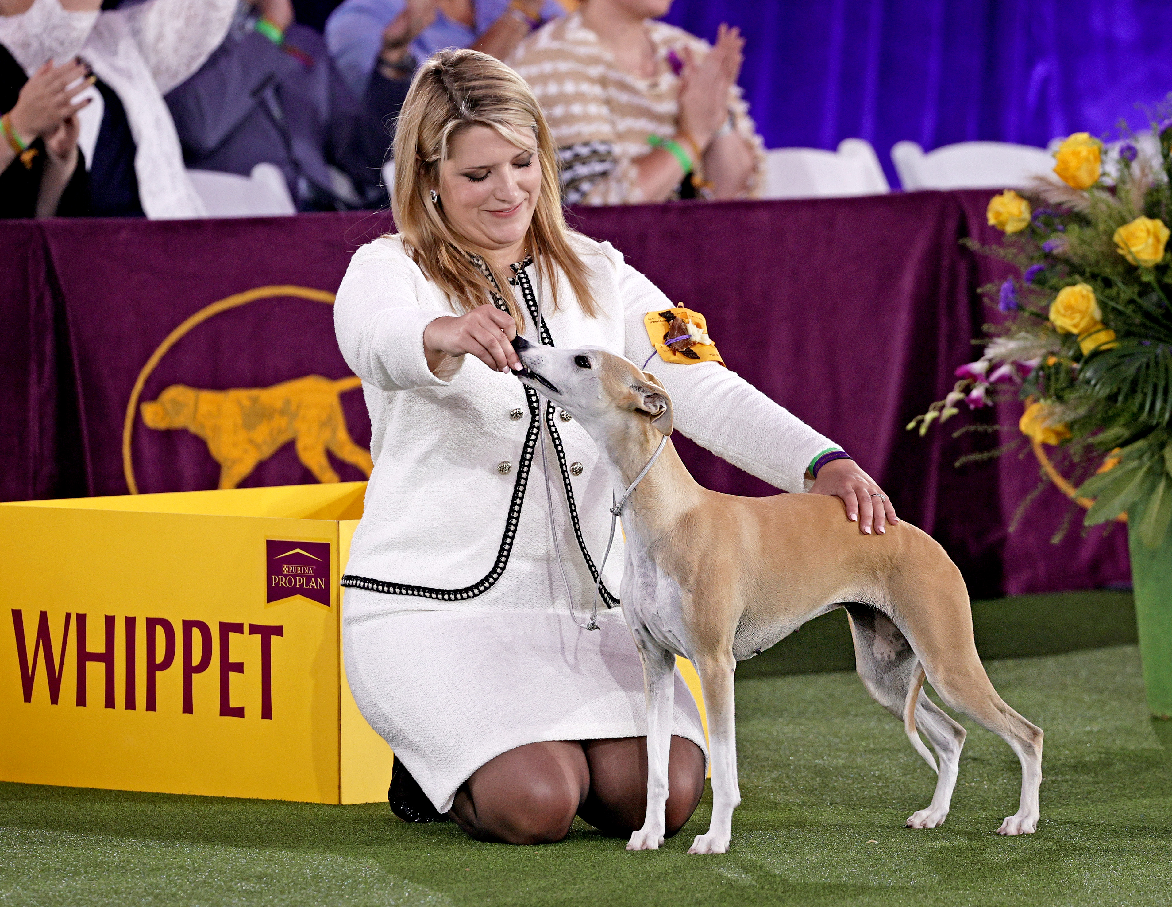 Westminster Dog Show 2021 See The Best In Show Group Winners Whio Tv 7 And Whio Radio