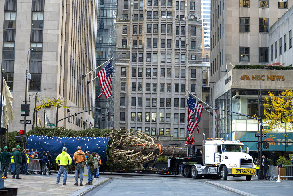 Photos 2021 Rockefeller Center Christmas Tree Arrives Kiro 7 News Seattle
