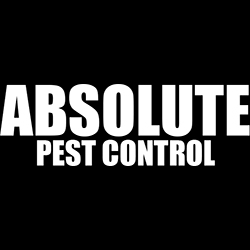 Absolute Pest Control